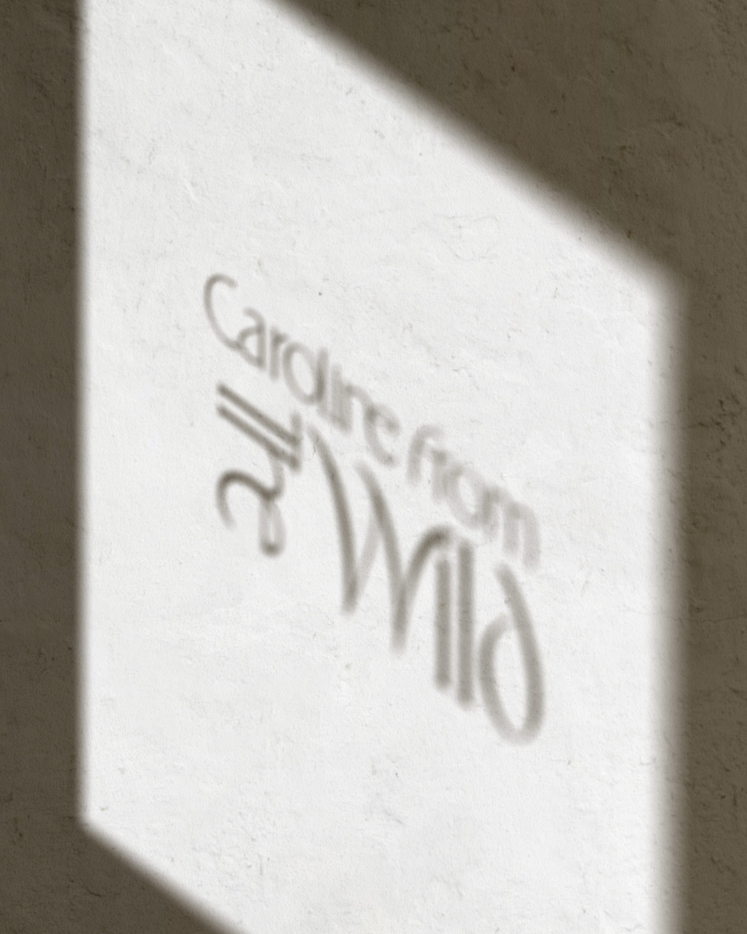 02_CW_04_STOREFRONT.png
