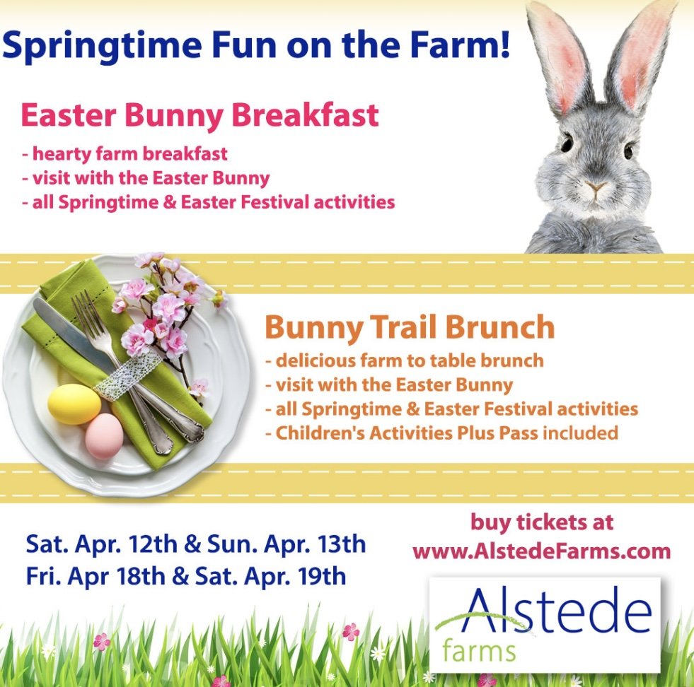 Alstede: Spring Time on The Farm