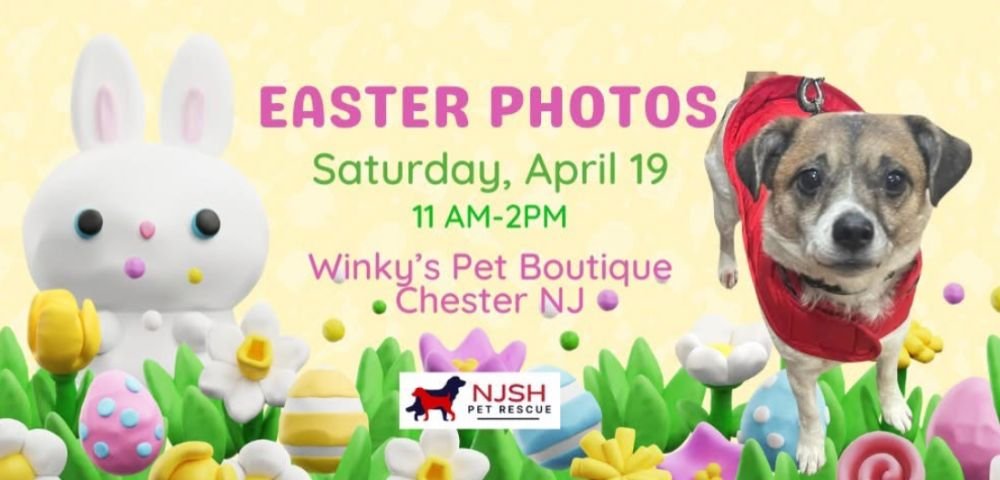 Winky's Pet Boutique Easter Photos