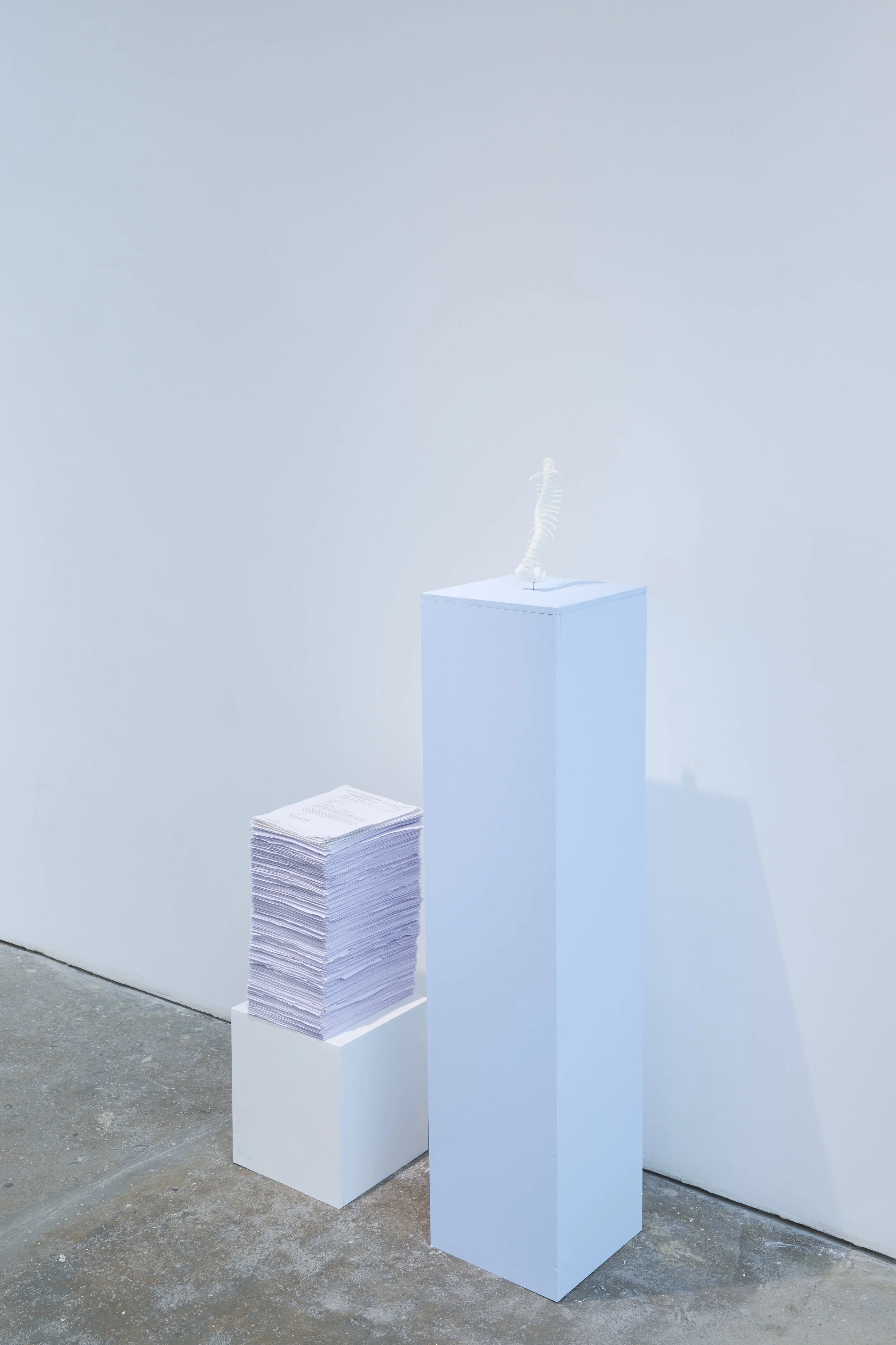 To Whom It May Concern - Aberrations Collective Graduate Show 2025