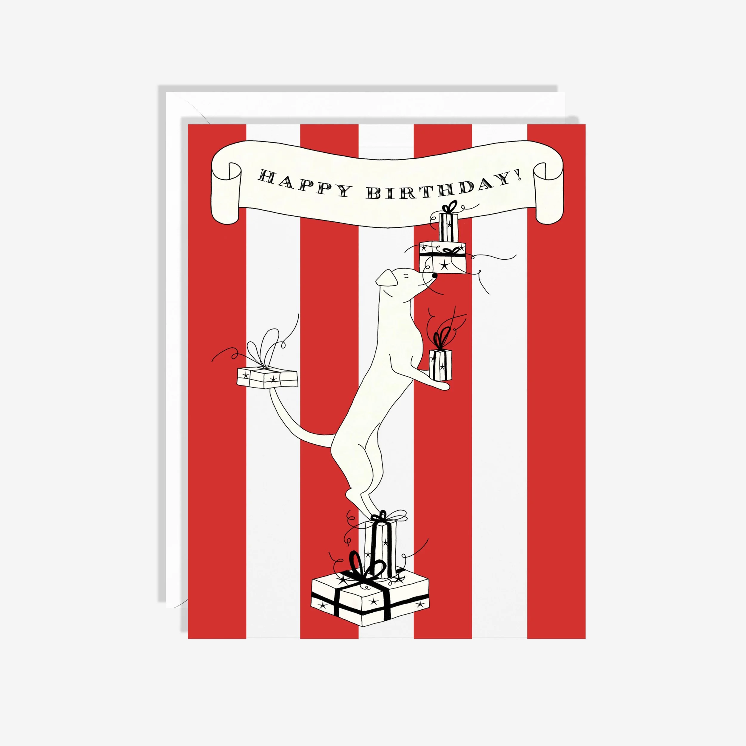 Luna the Circus Dog.jpg