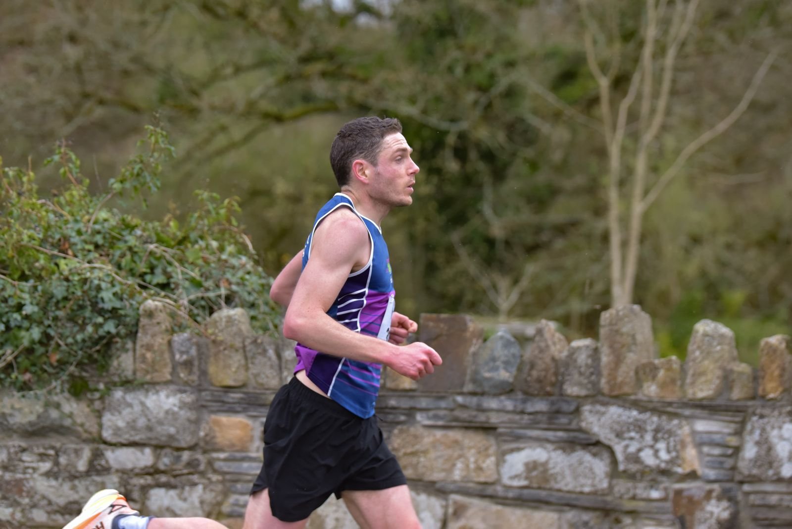 Intermed - Andrew Dowse.jpeg