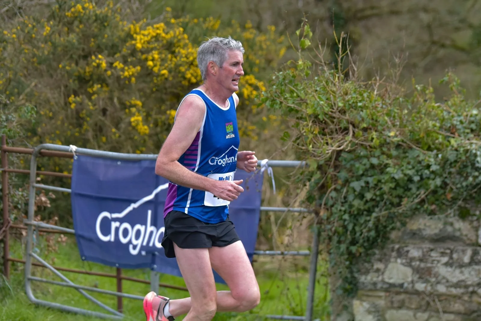 Intermed - Brian Maher.jpeg