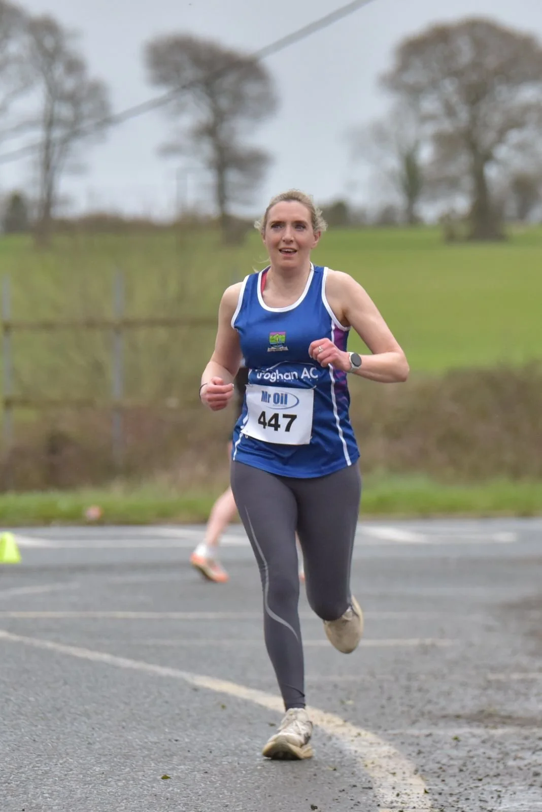 Intermed - mandi.jpeg