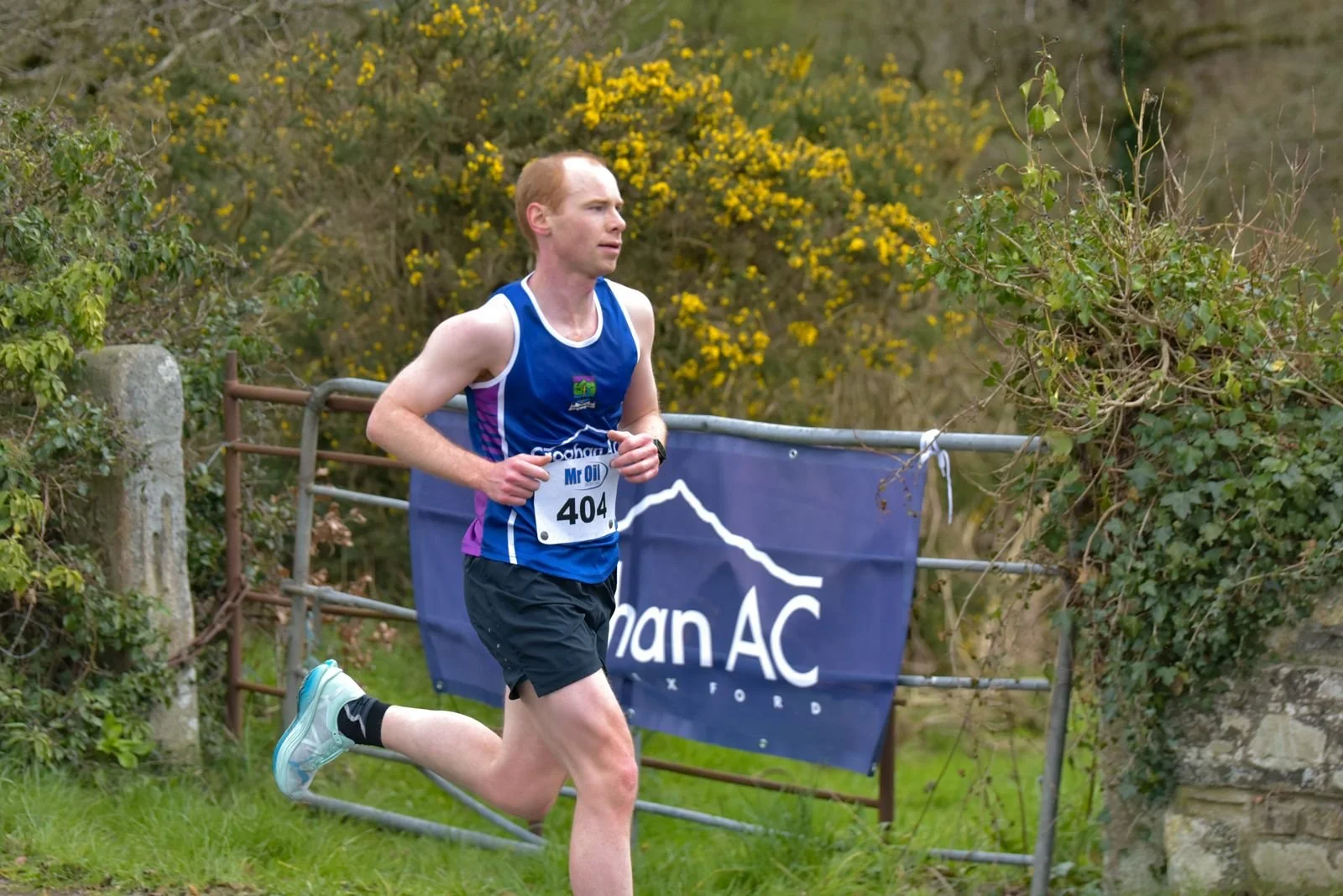 Intermed - James Hertrich.jpeg