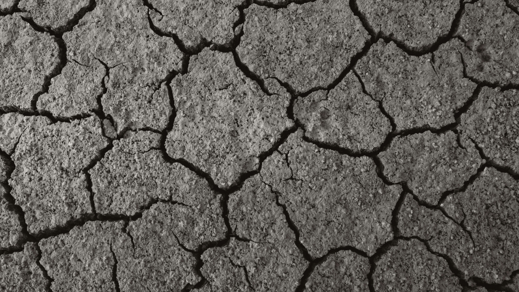 Close-up view of cracked, dry earth showing deep fissures and a rough, textured surface in shades of gray and brown.