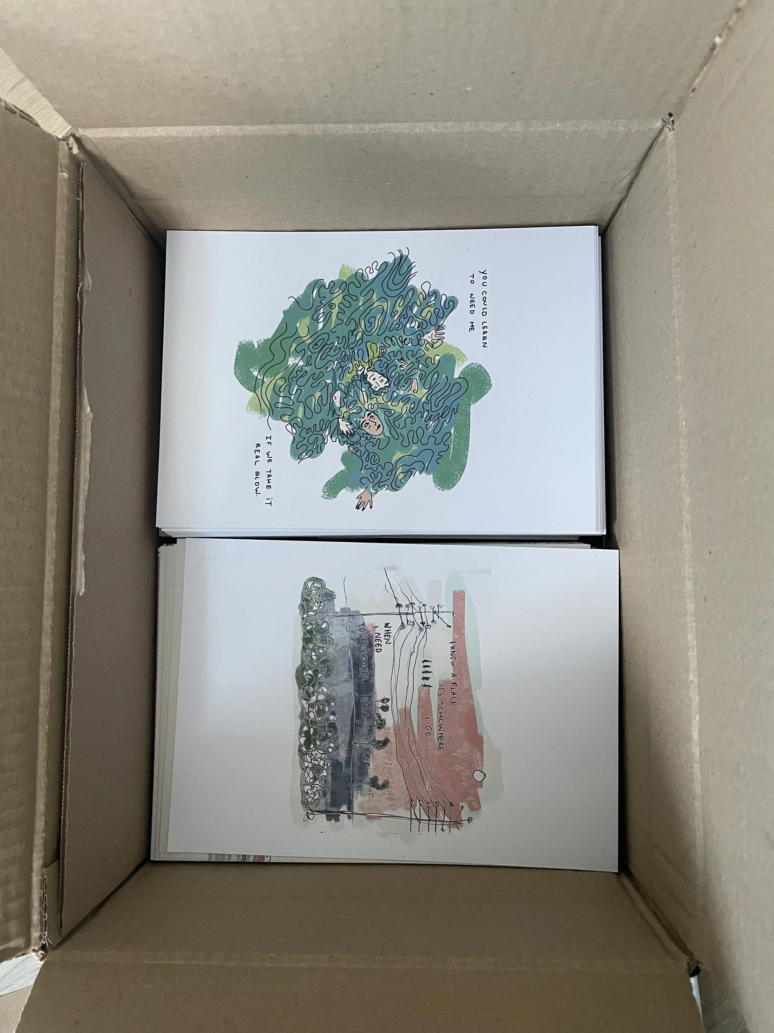 Inside a cardboard box are two illustrated books with colorful covers. The top book features a tangled, maze-like illustration with a person and a dog, and the text 'You could learn to need if... I love the 'it' I feel slow.' The bottom book shows a 