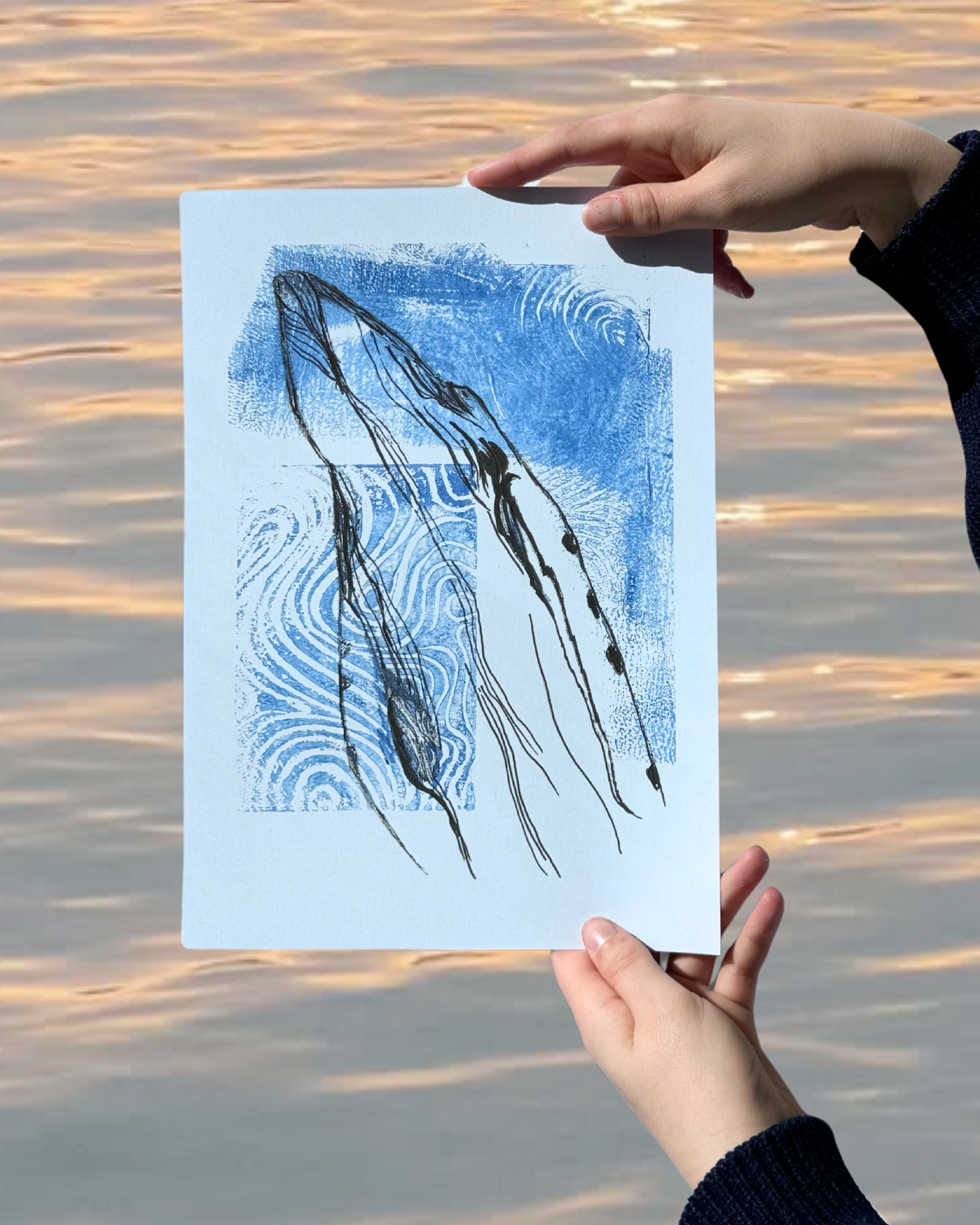 Infinity Pool - Whale