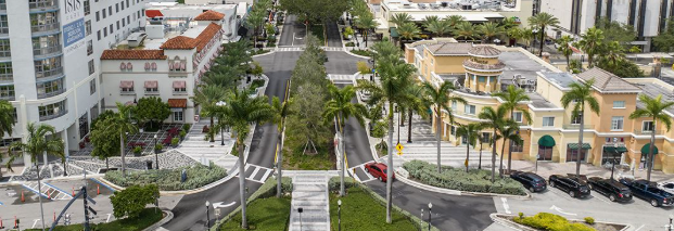 Aerial view of a city street with buildings, palm trees, crosswalks, and parked cars.