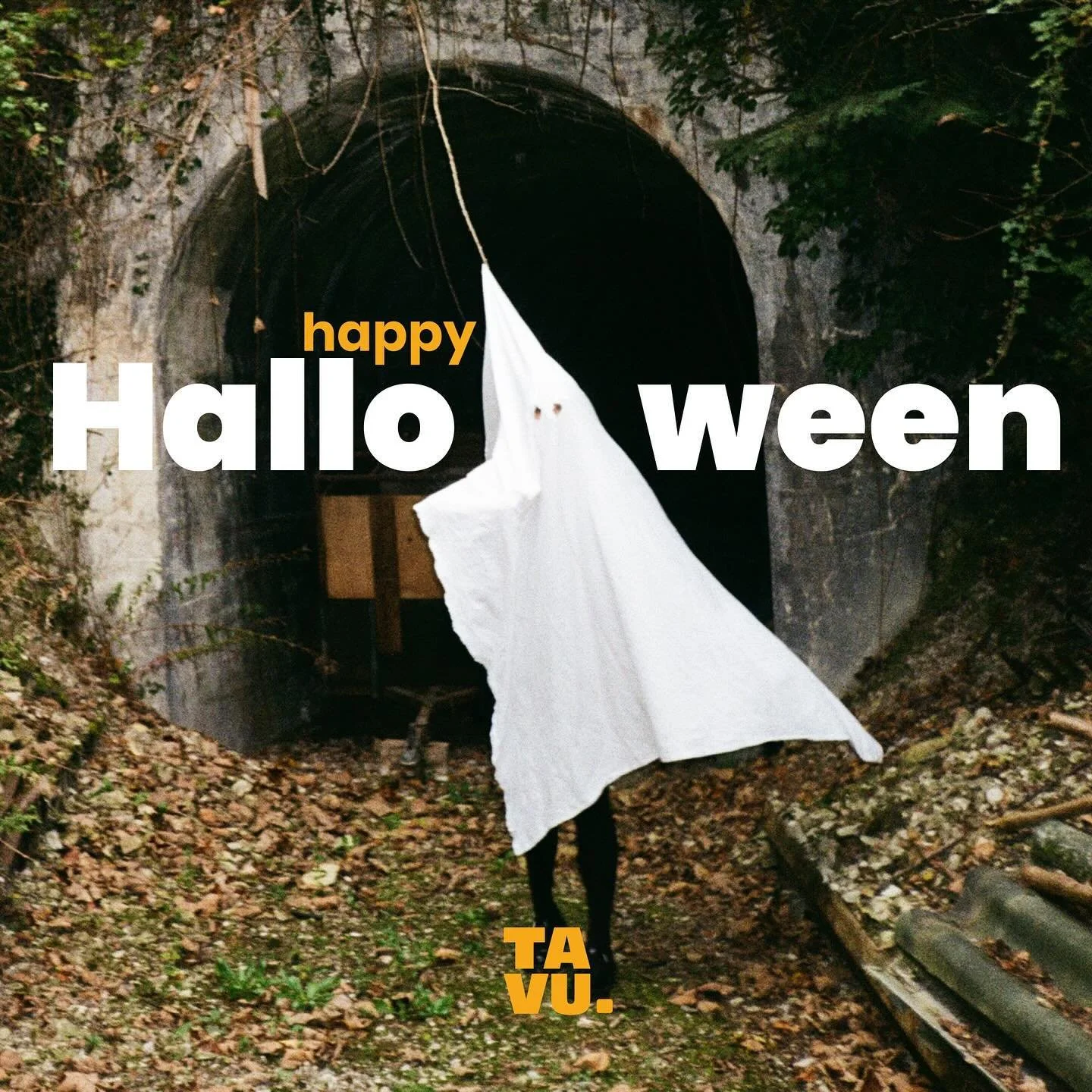 Happy Halloween 🎃 
Tavu on fait peur 

#tavu #crea #under10k #haloween #boo ##graphicdesign #spooky
