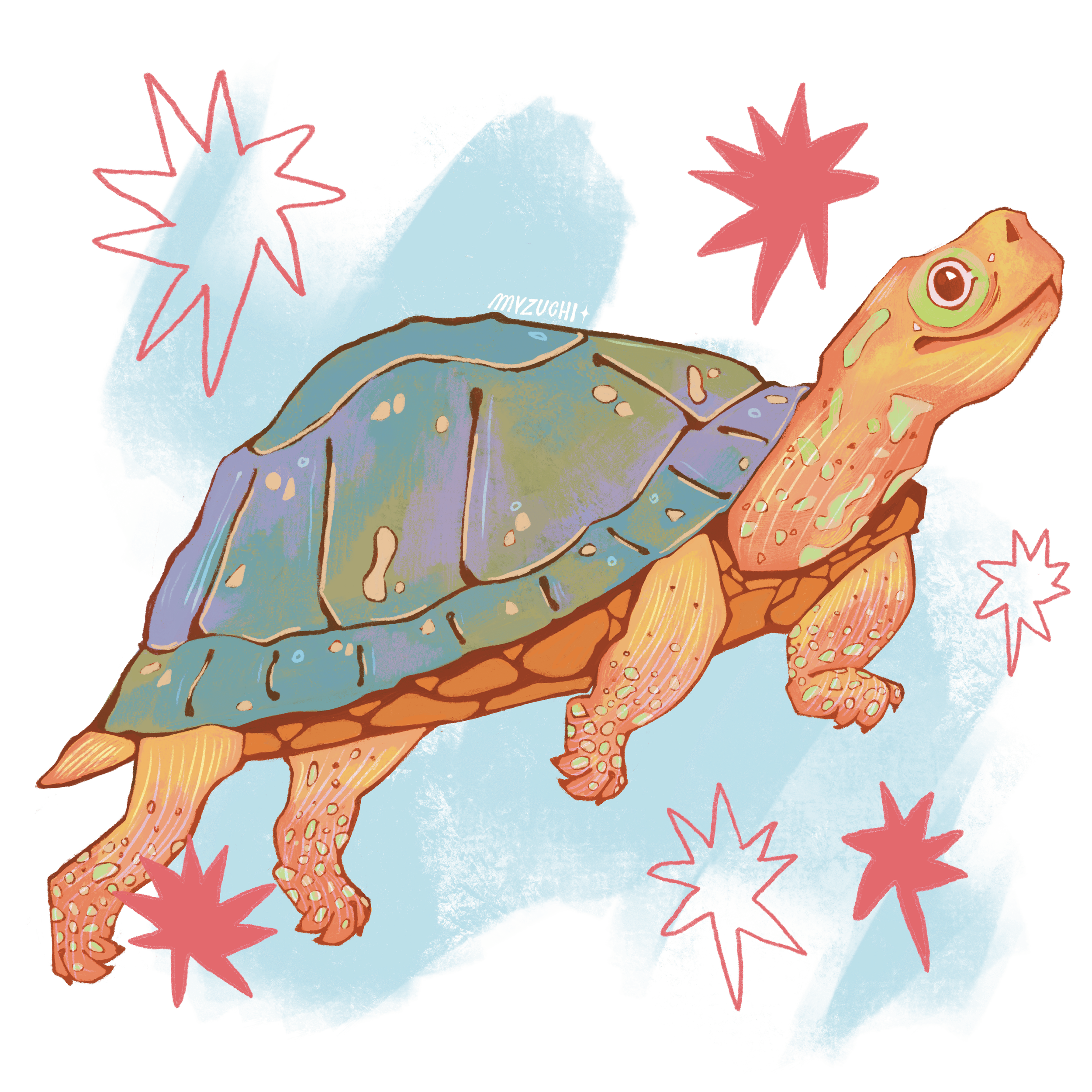 tortue-min.PNG