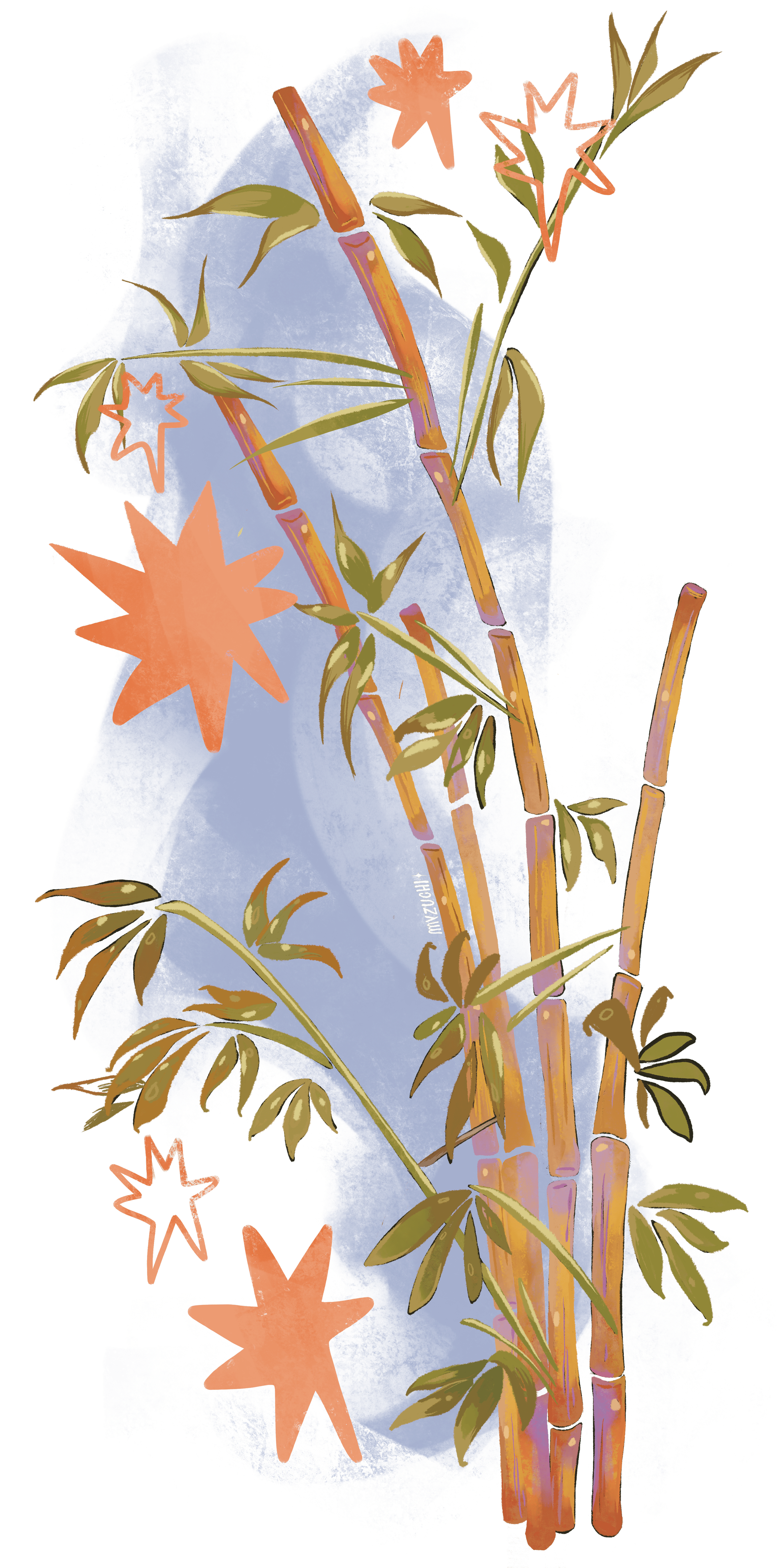 IMG_5002.png