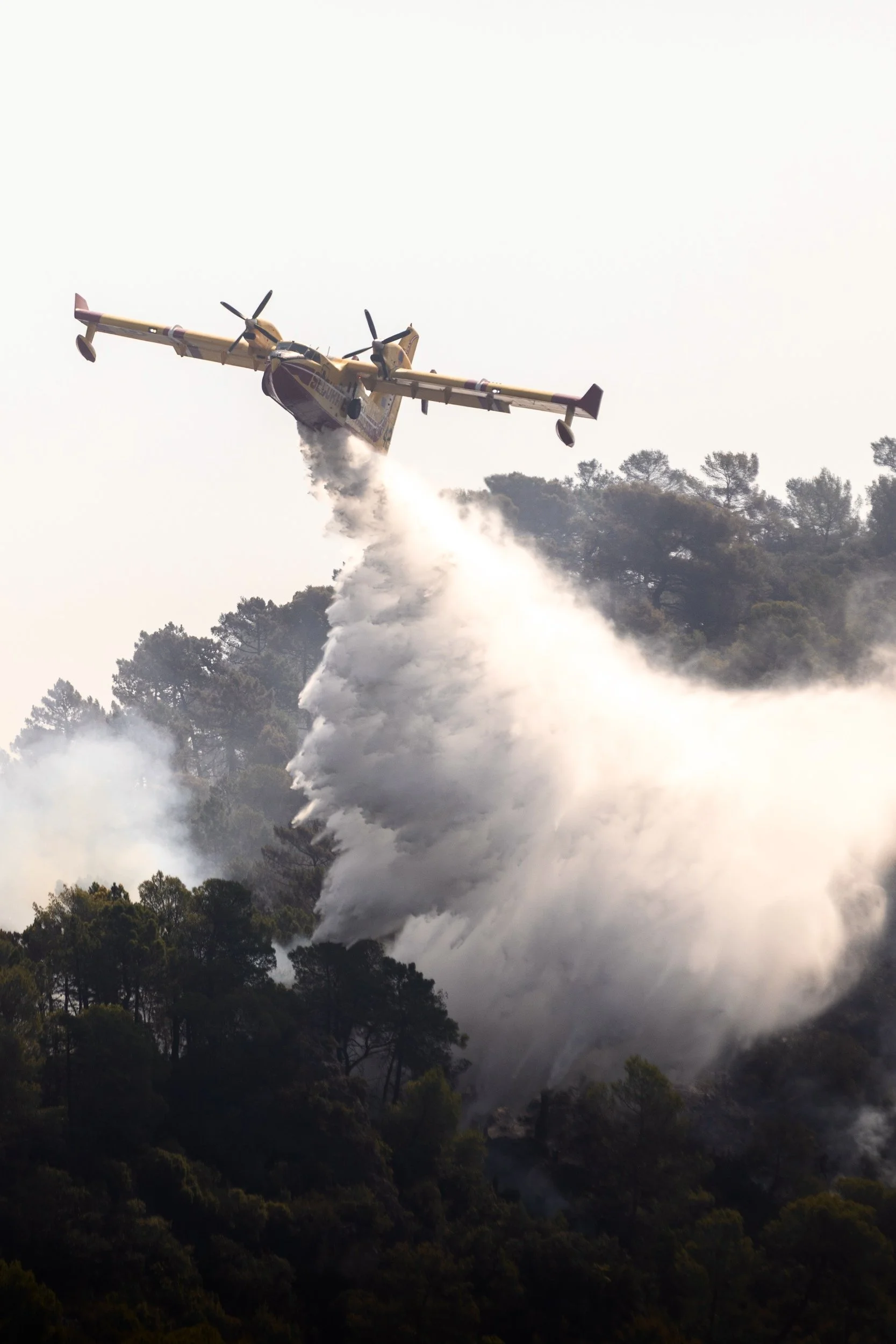 Canadair incendie Correns et Montfort-sur-Argens