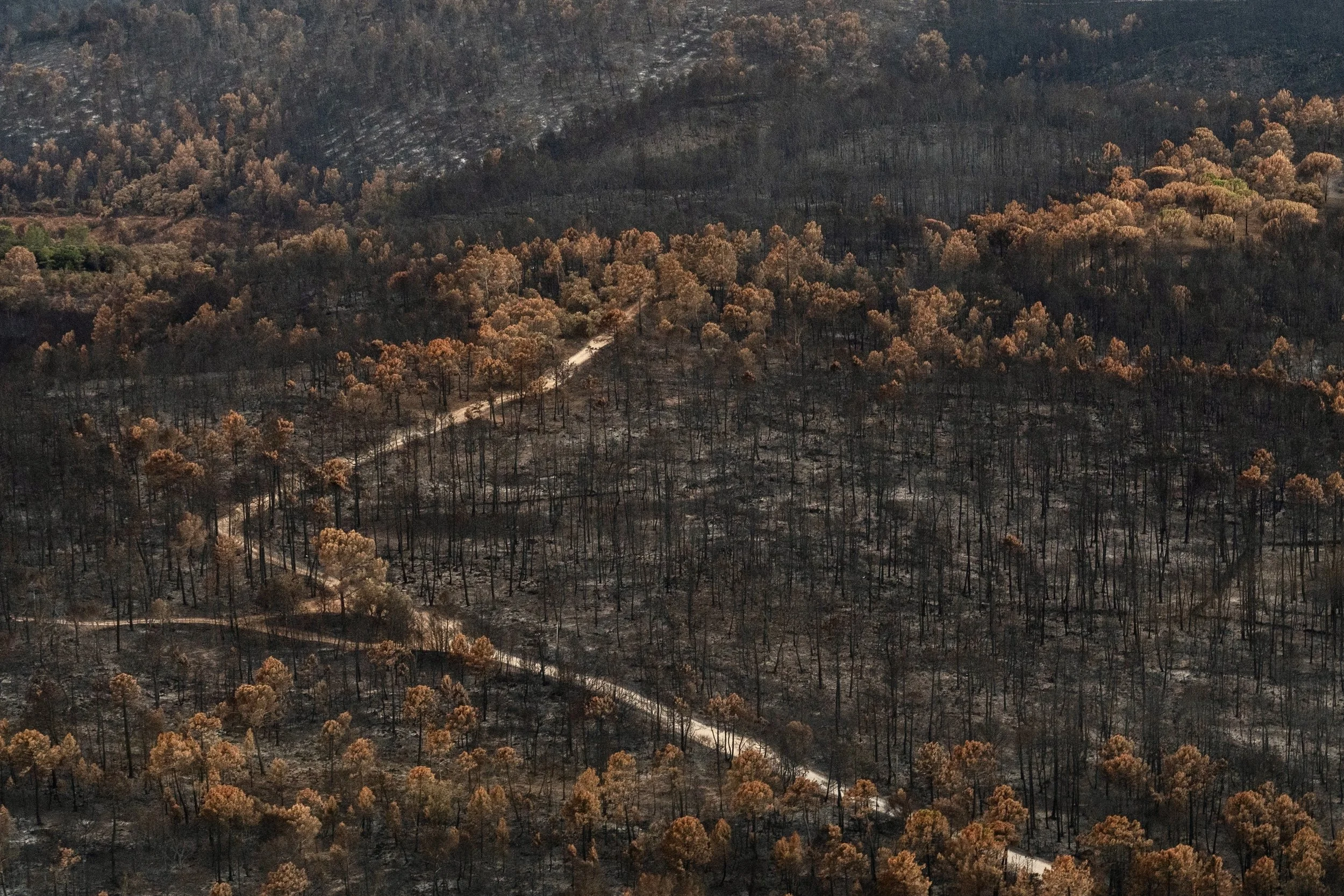 Incendie du Gros Bessillon août 2026