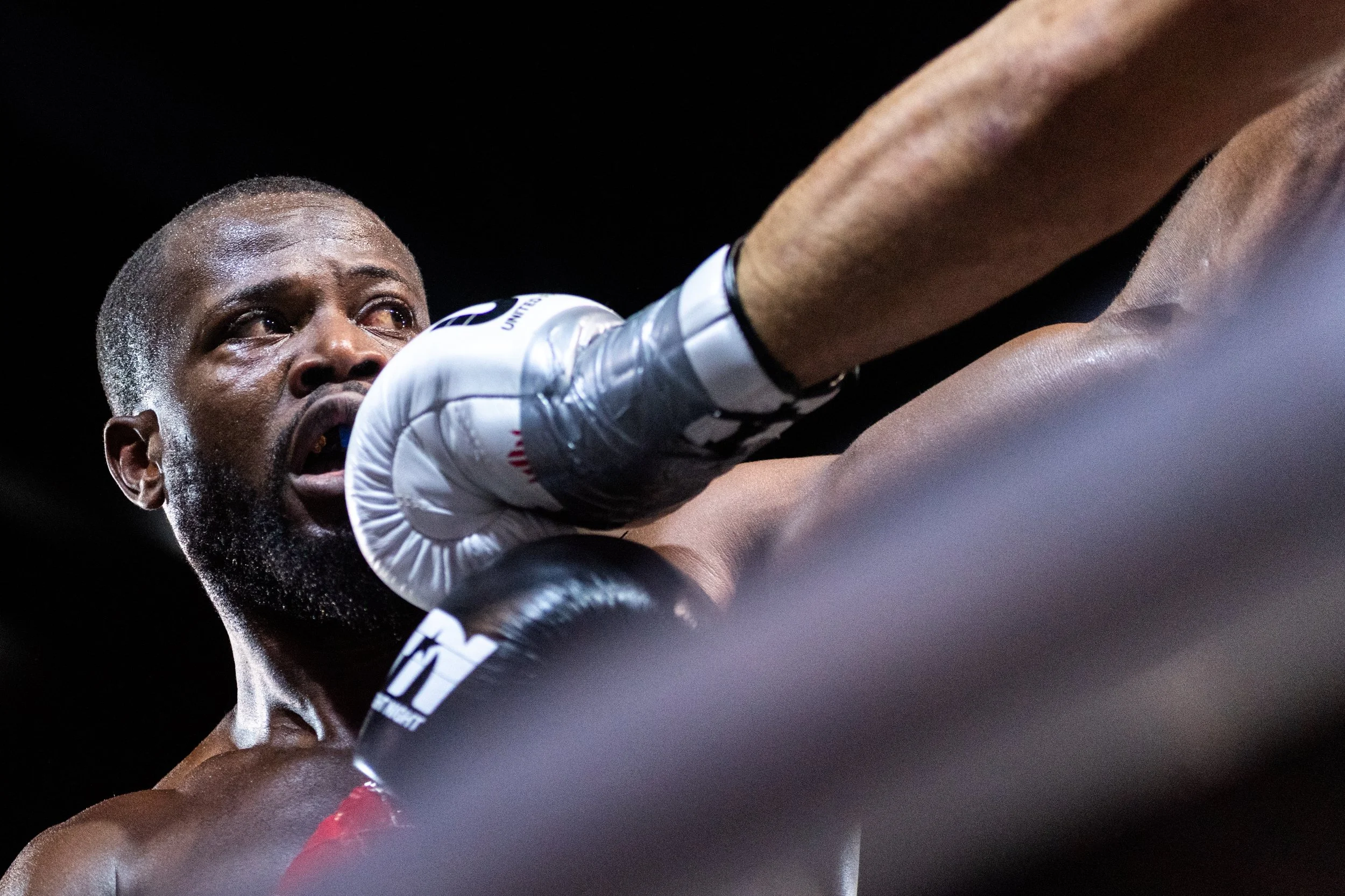 Ultimate Fight Night Toulon 2026