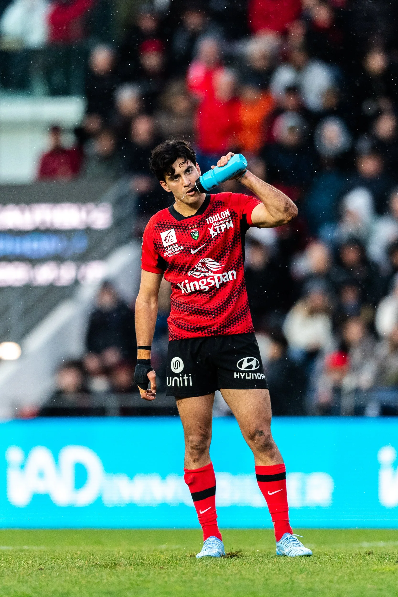 Marius Domon RCT