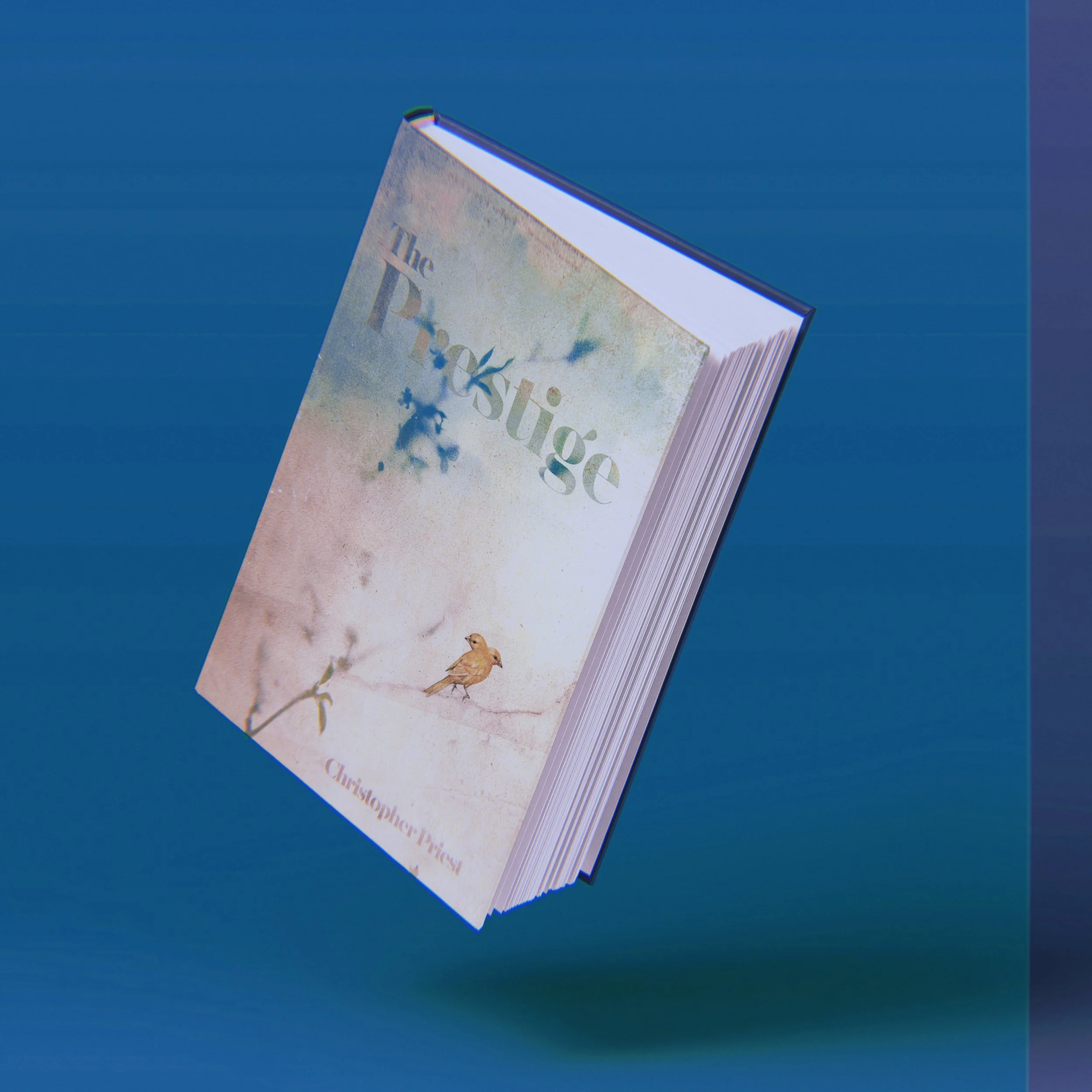 AfterlightImage 144_Afterlight.JPG