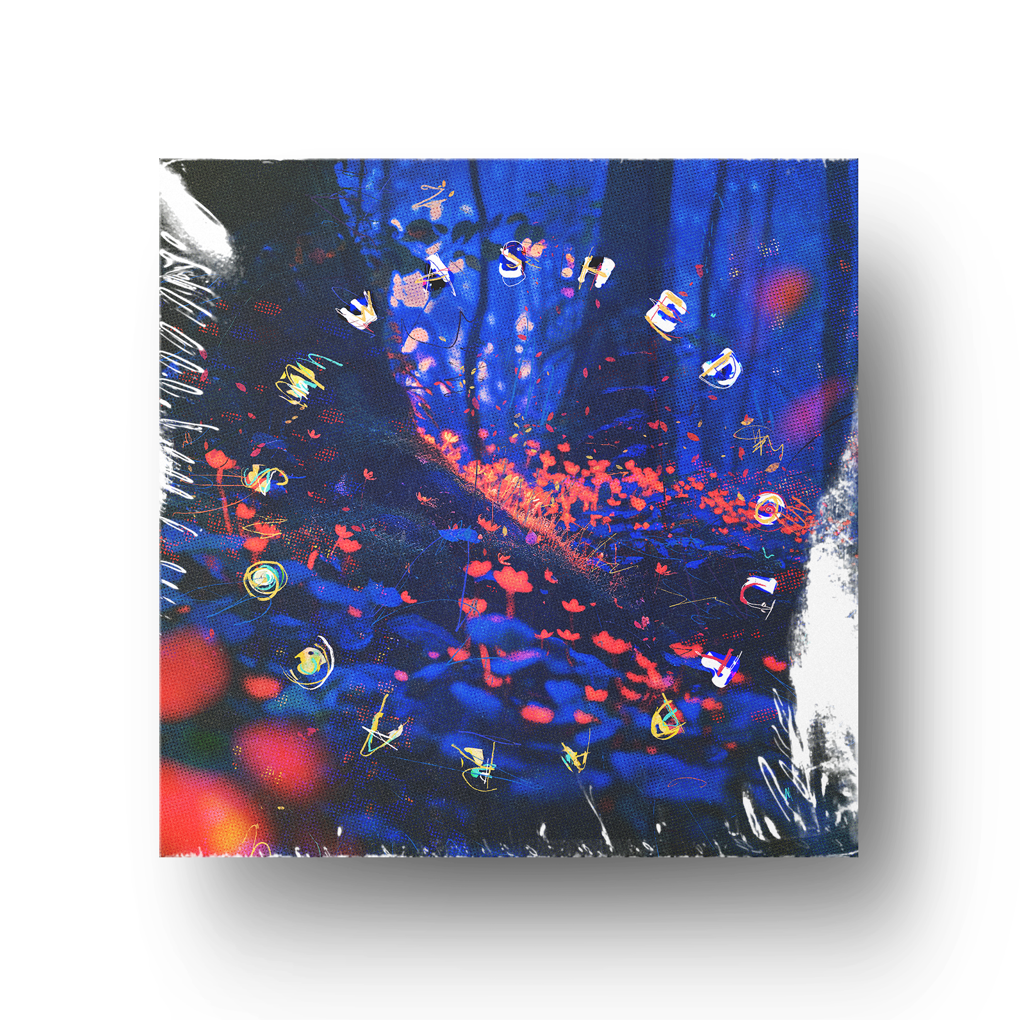 Washed Out // Paracosm