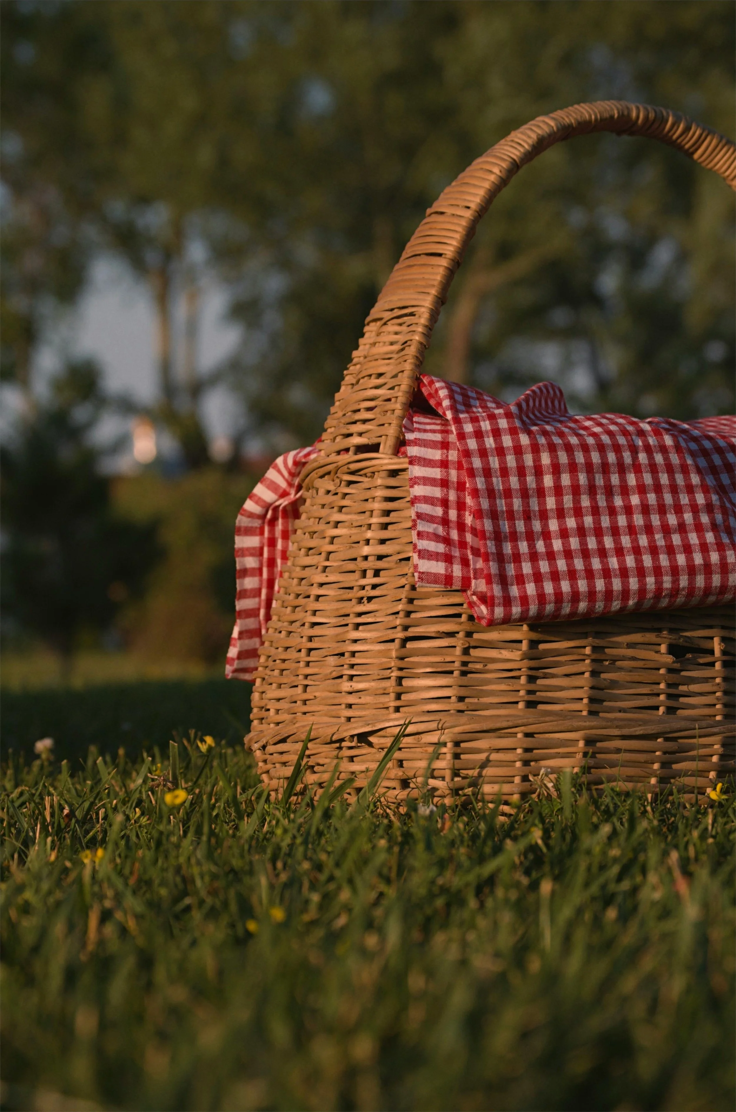 Panier en osier avec nappe de pique-nique, déjeuner sur l’herbe durant la retraite.