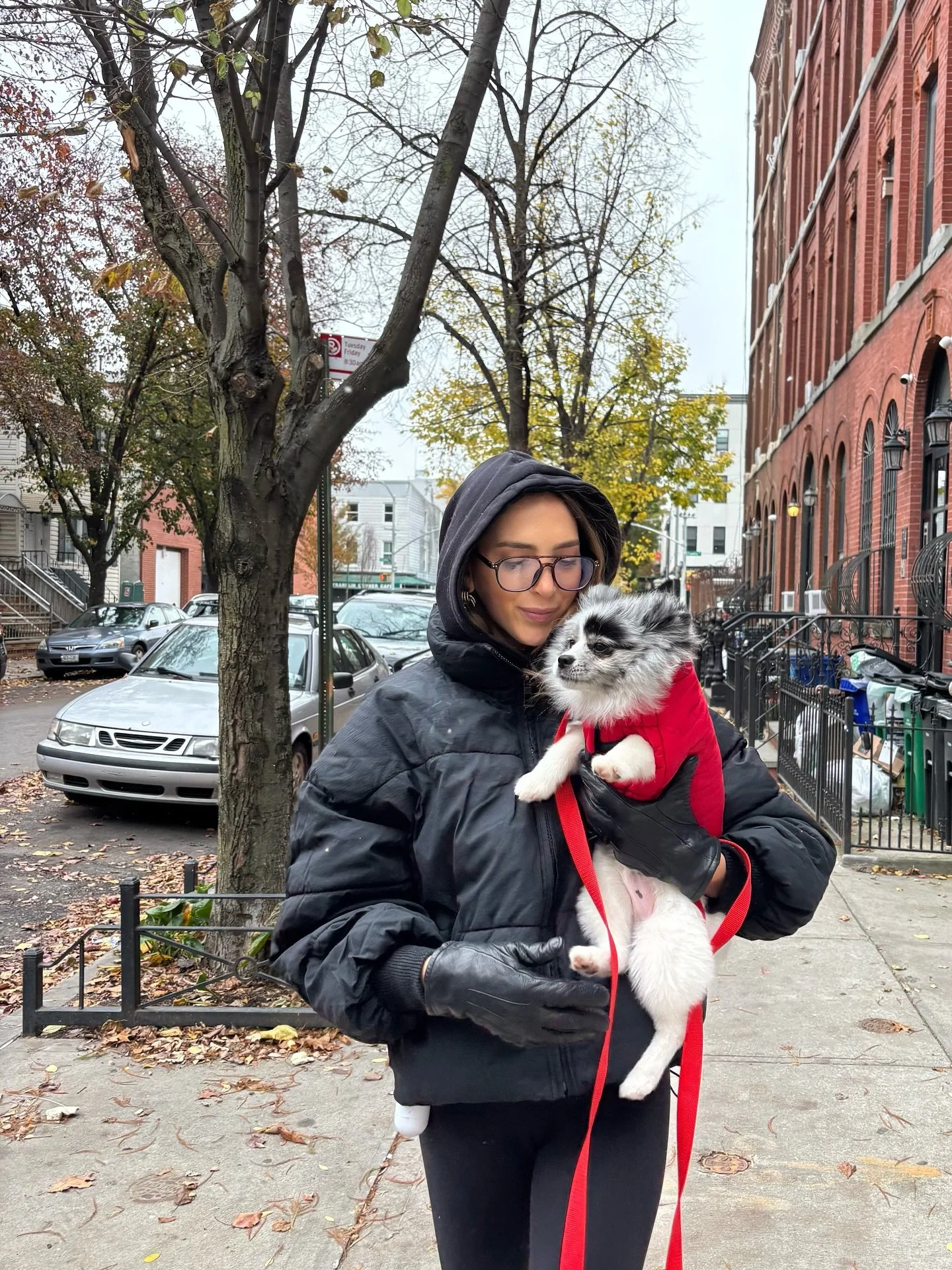 Having a dog is all fun and games until you have to walk them in the freezing winter 🤡🐶😅🥲