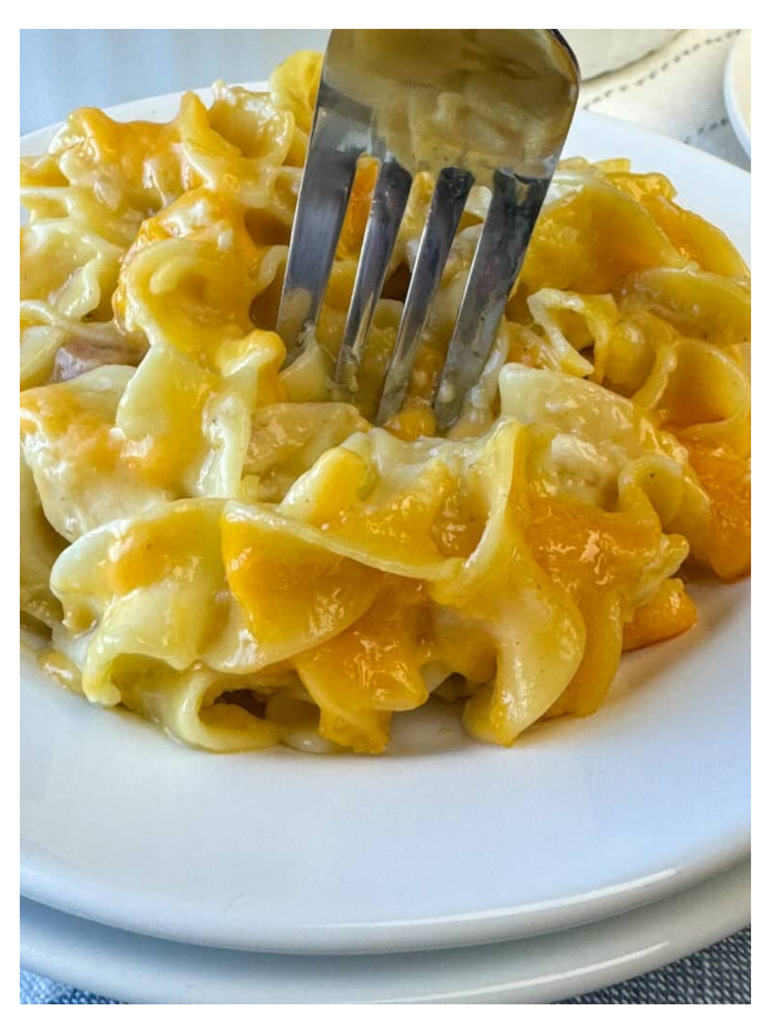 Chicken Noodle Casserole - Individual