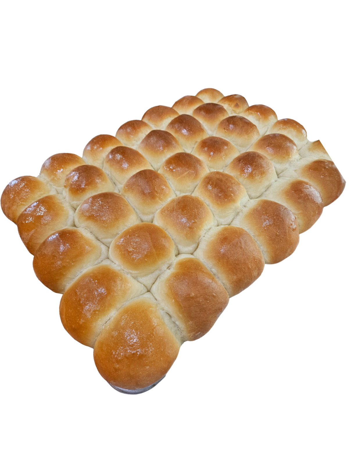 Yeast Dinner Rolls