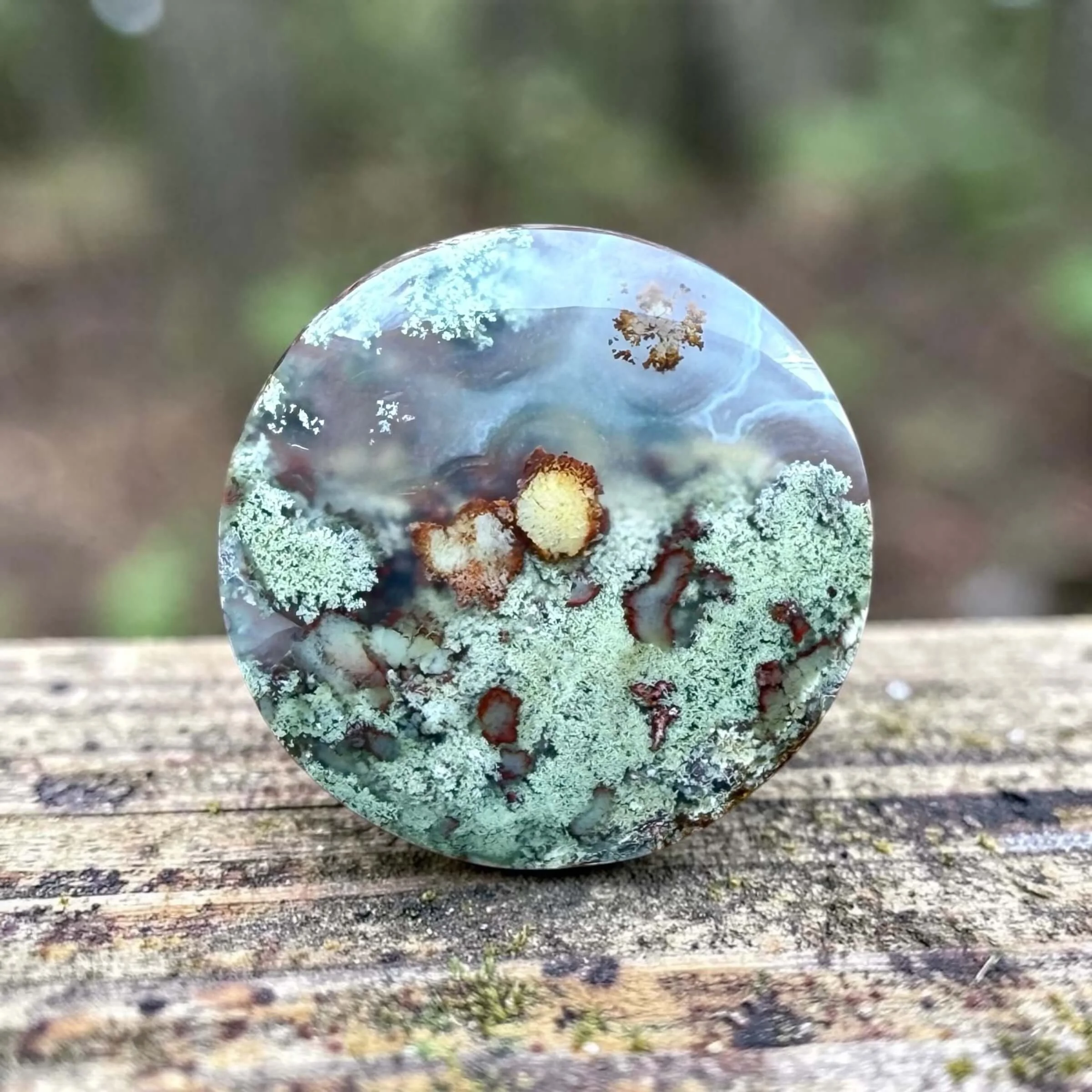 Scenic-Moss-Agate.JPG