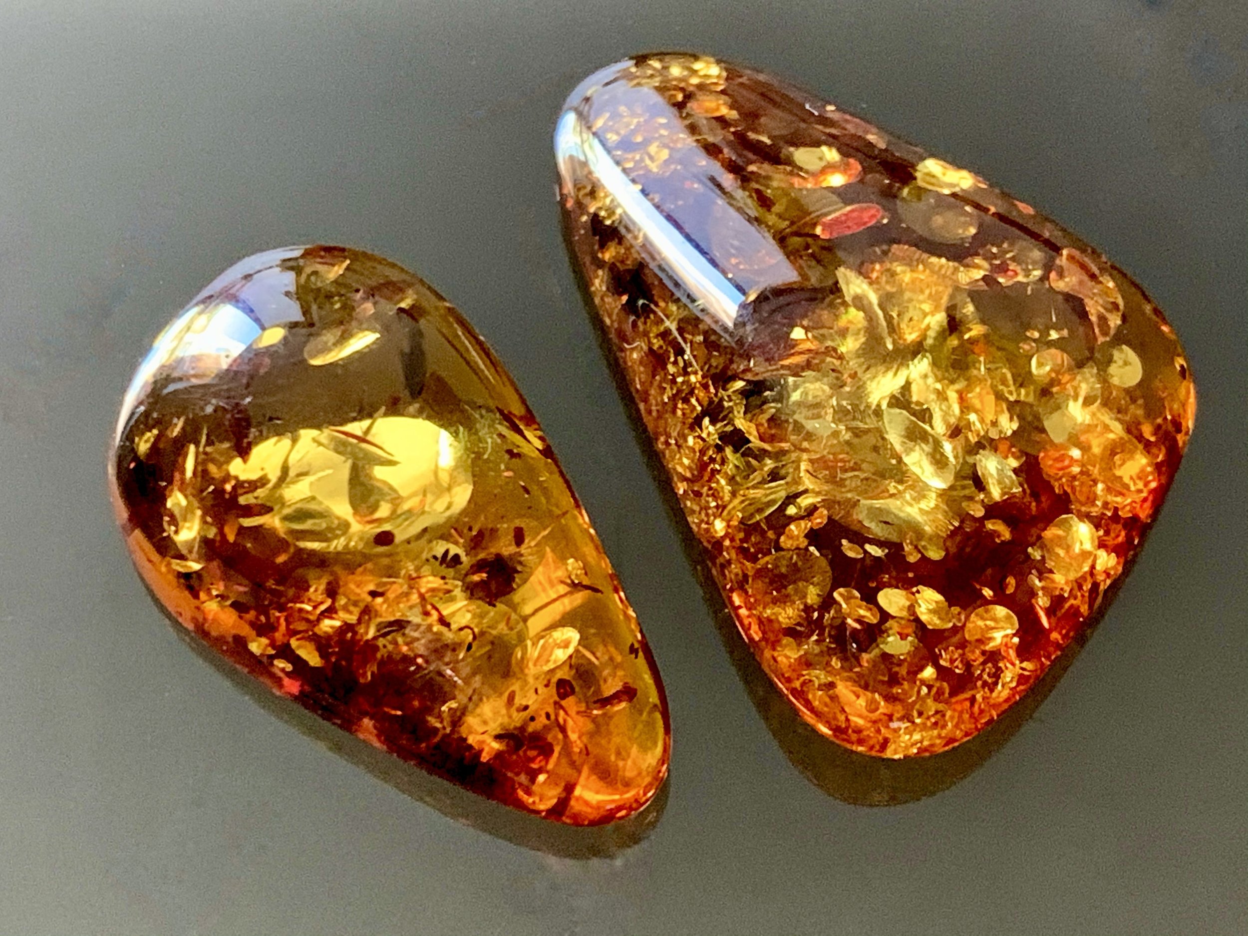 Baltic Amber and Taurus: A Perfect Match for Dame Joanna Lumley
