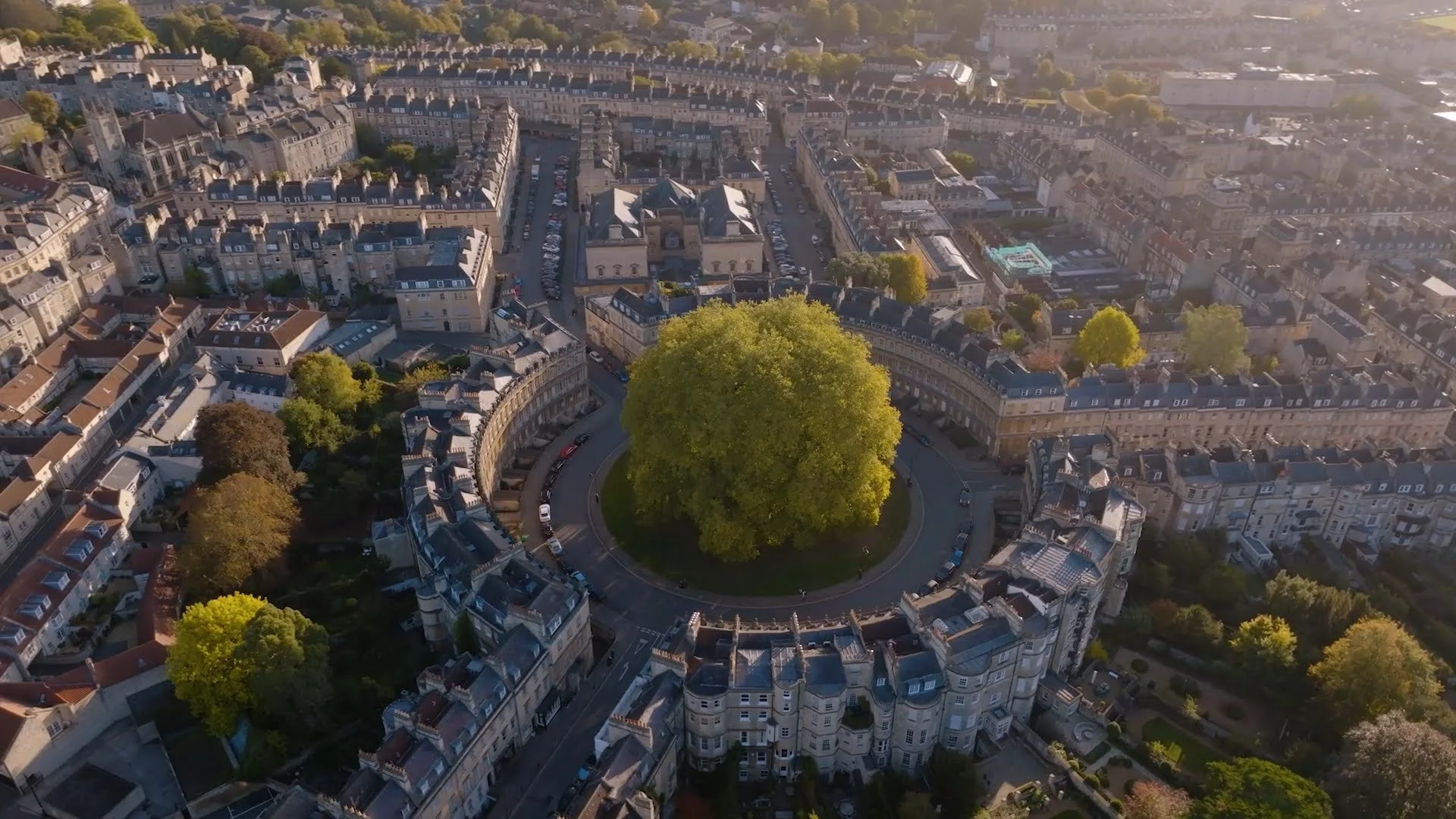 An aerial view of a circular park with a large tree in the center, surrounded by classic European-style apartment buildings and streets filled with parked cars.