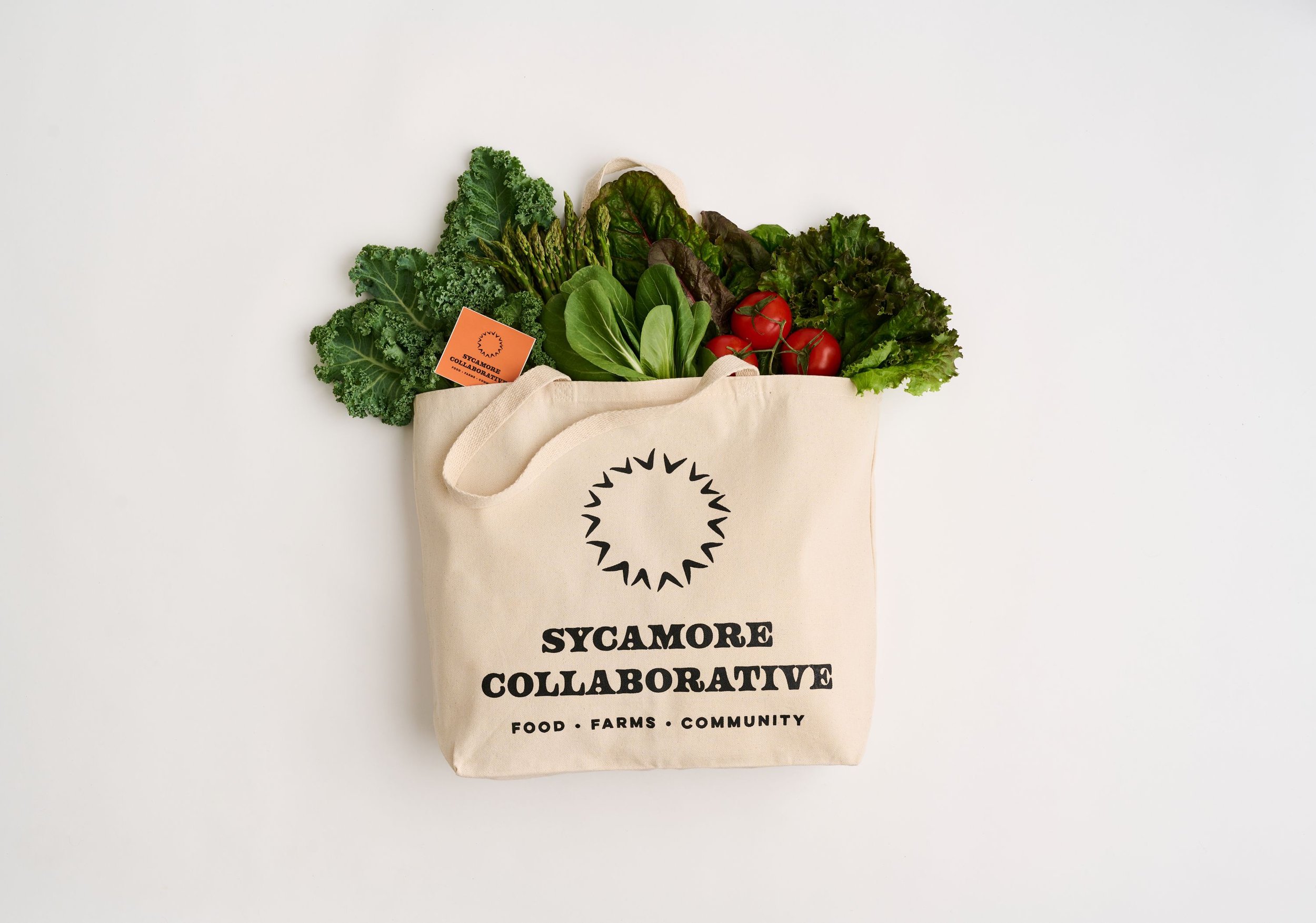 Sycamore-099 copy.jpg