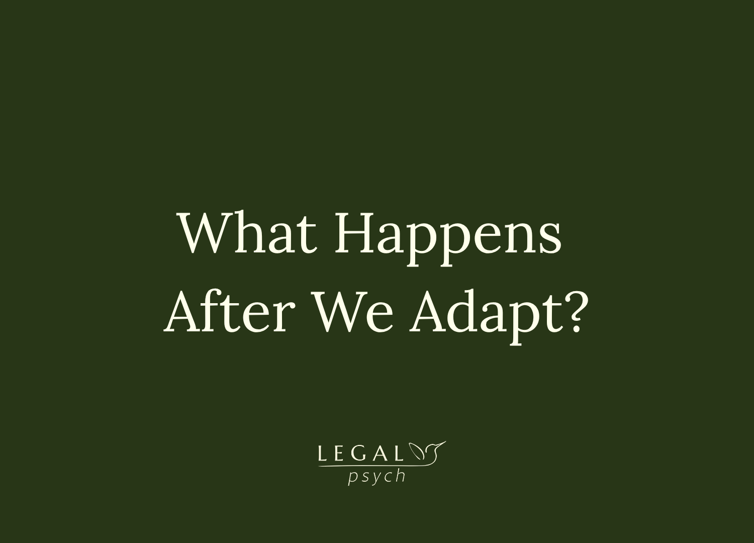 What Happens After We Adapt?