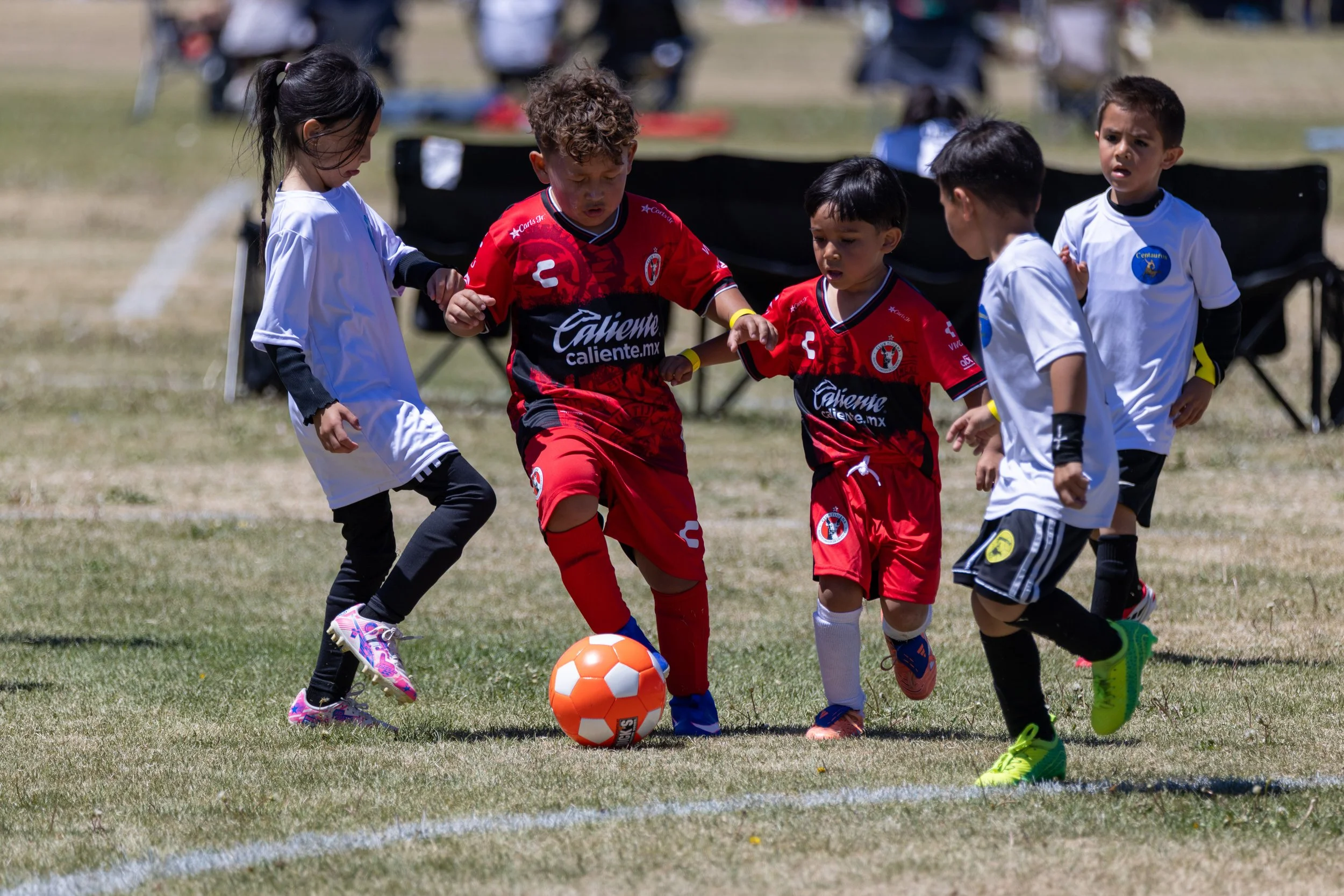 2026 Cinco de Mayo Tournament -60.jpg