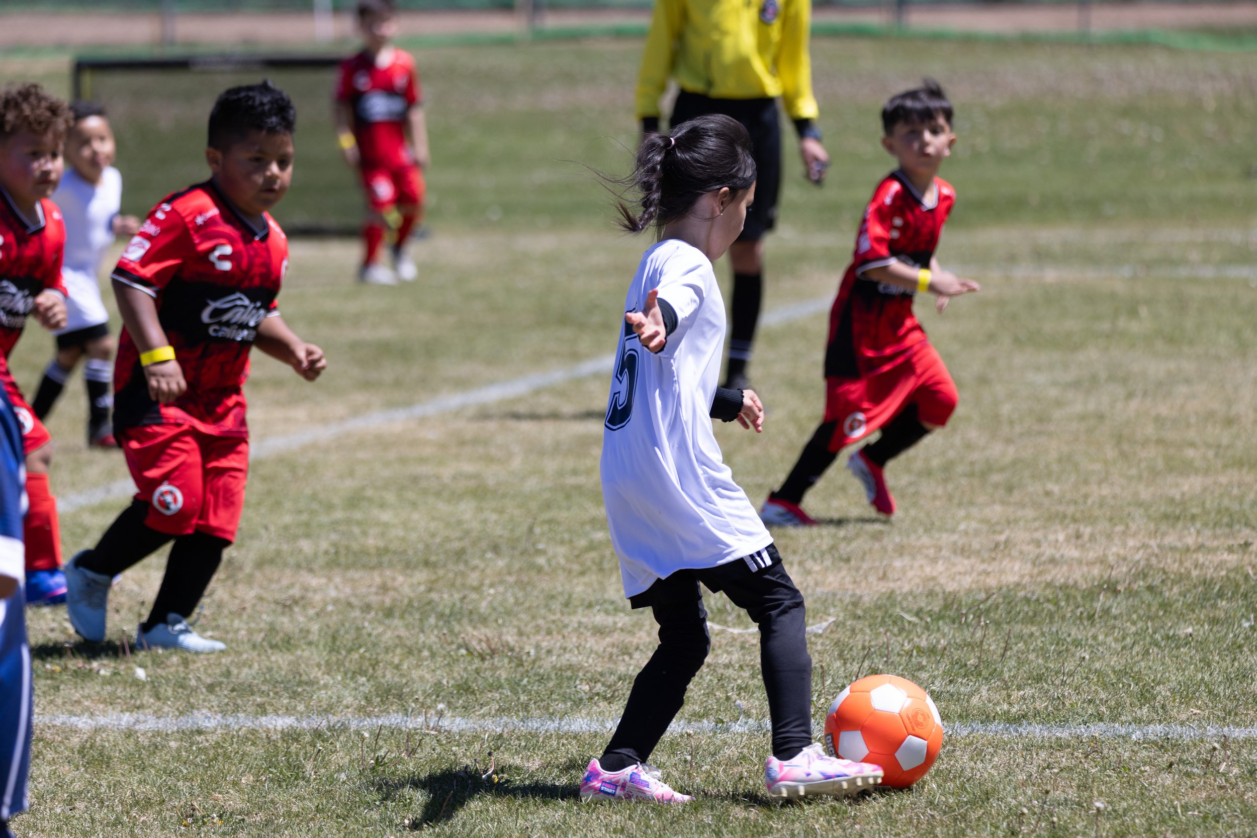 2026 Cinco de Mayo Tournament -70.jpg