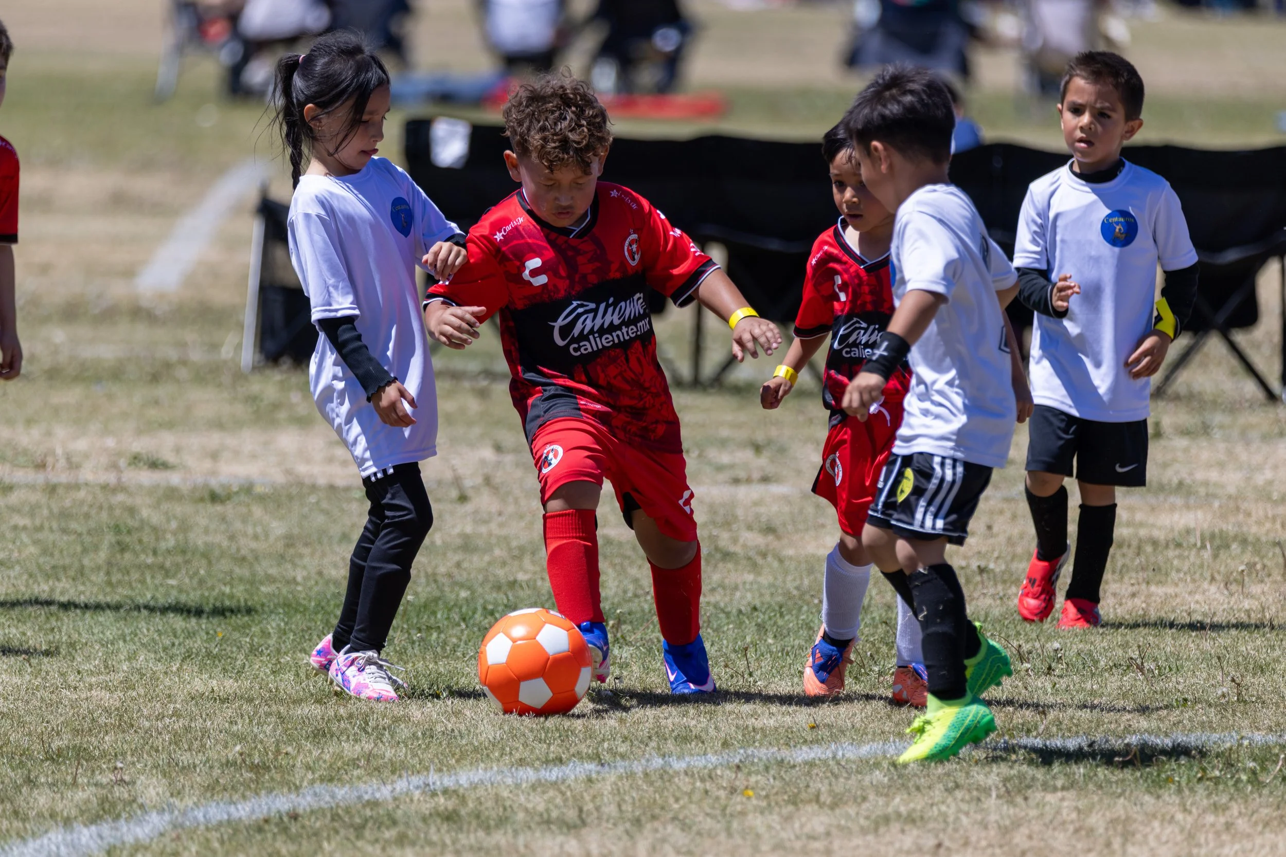 2026 Cinco de Mayo Tournament -61.jpg