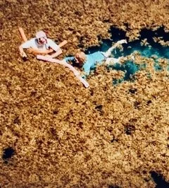 Are You Stuck Or Are You A Superconductor?