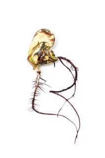 We Are The Technology and The Terrain