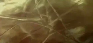 Close-up of a snake on the ground with dried grass and soil.