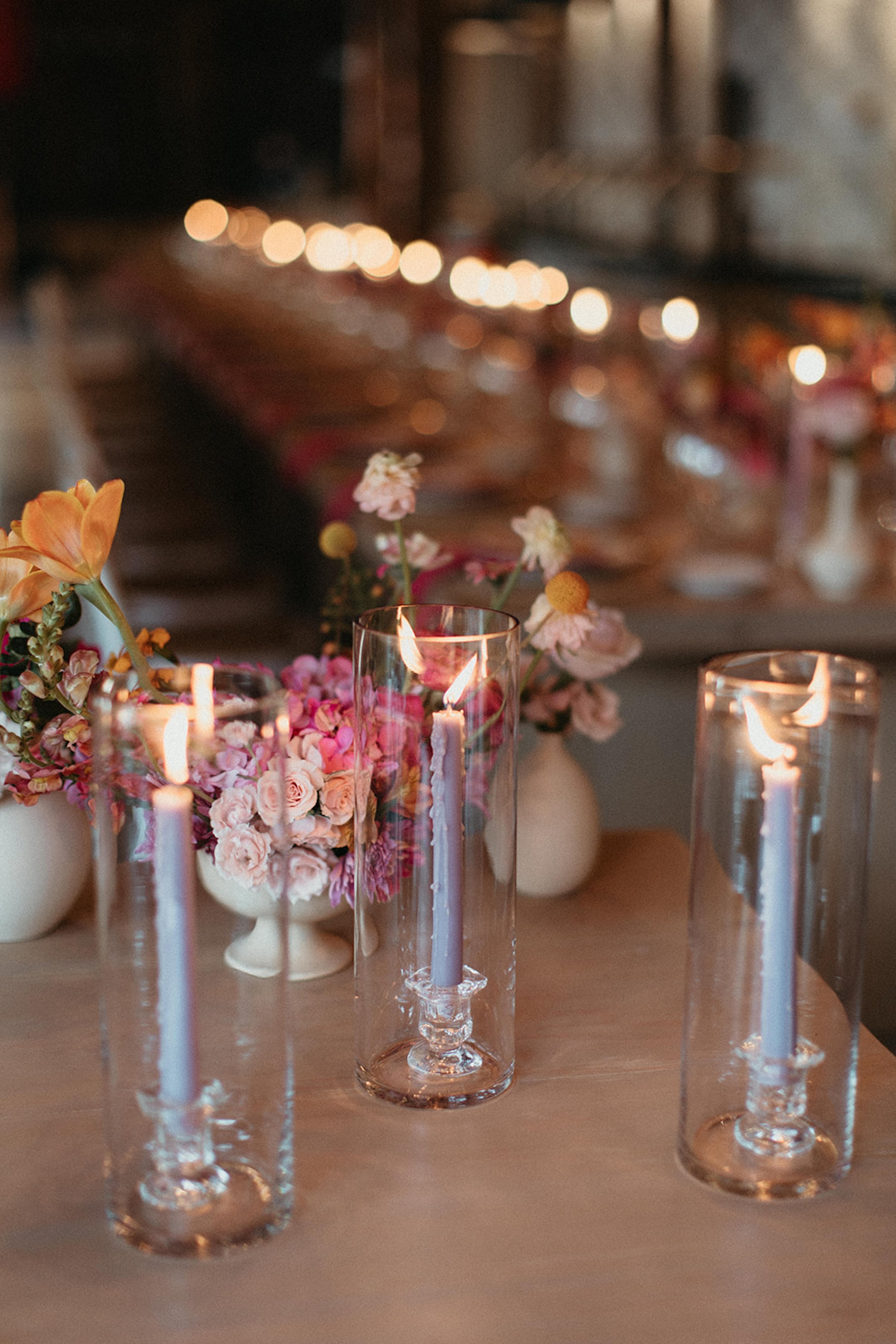 LAKIN+RYAN221.jpg