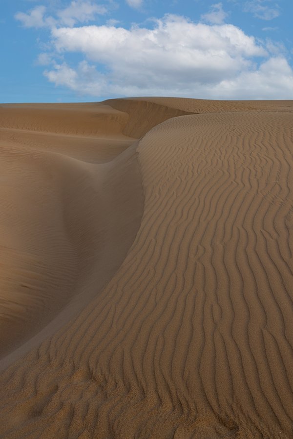 Oceano Sand Dunes 2
