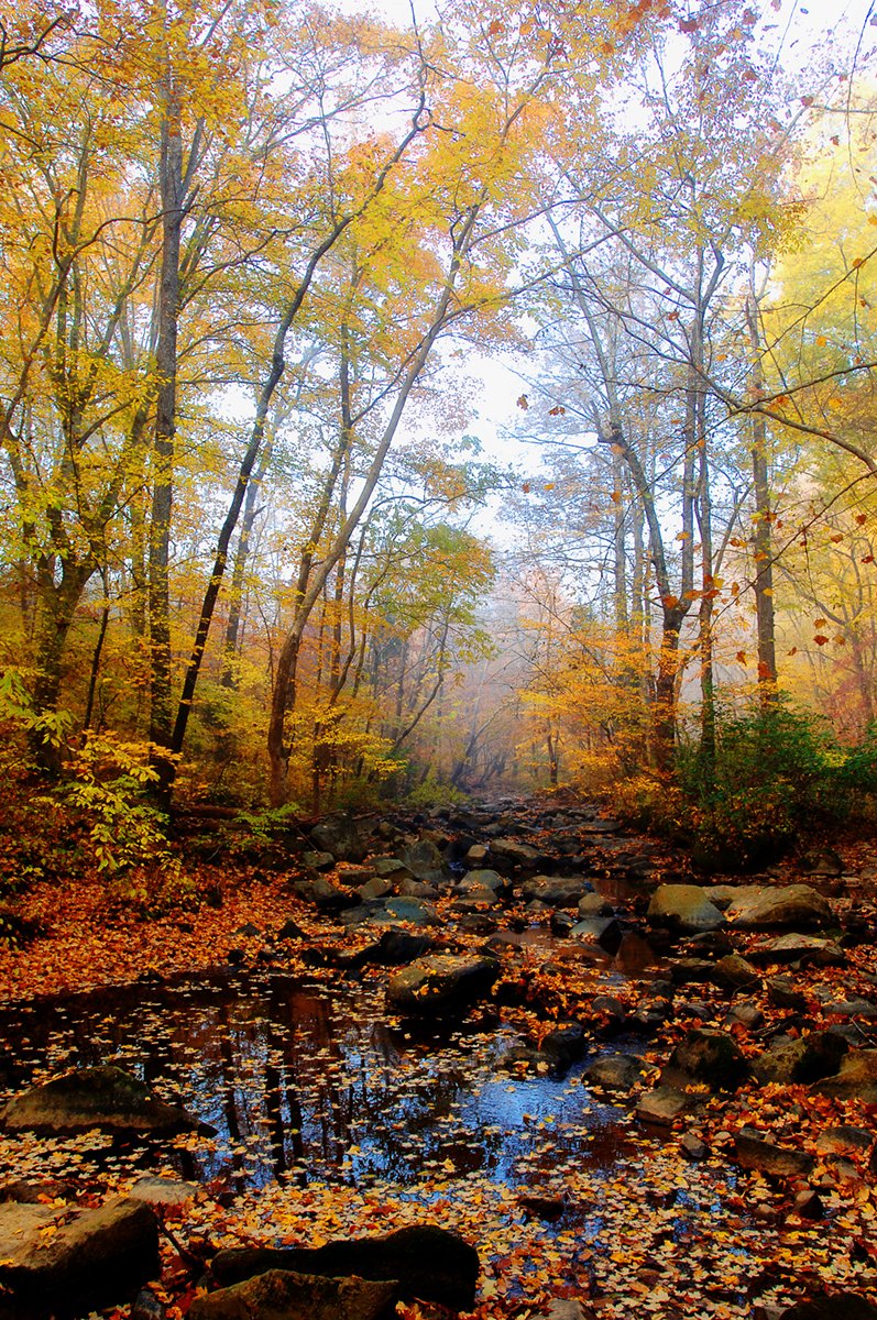 Tom's Creek