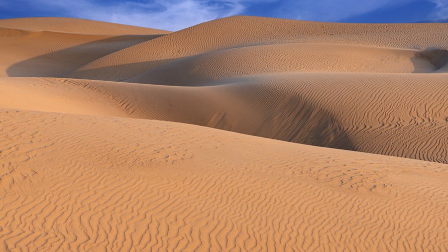 Oceano Sand Dunes