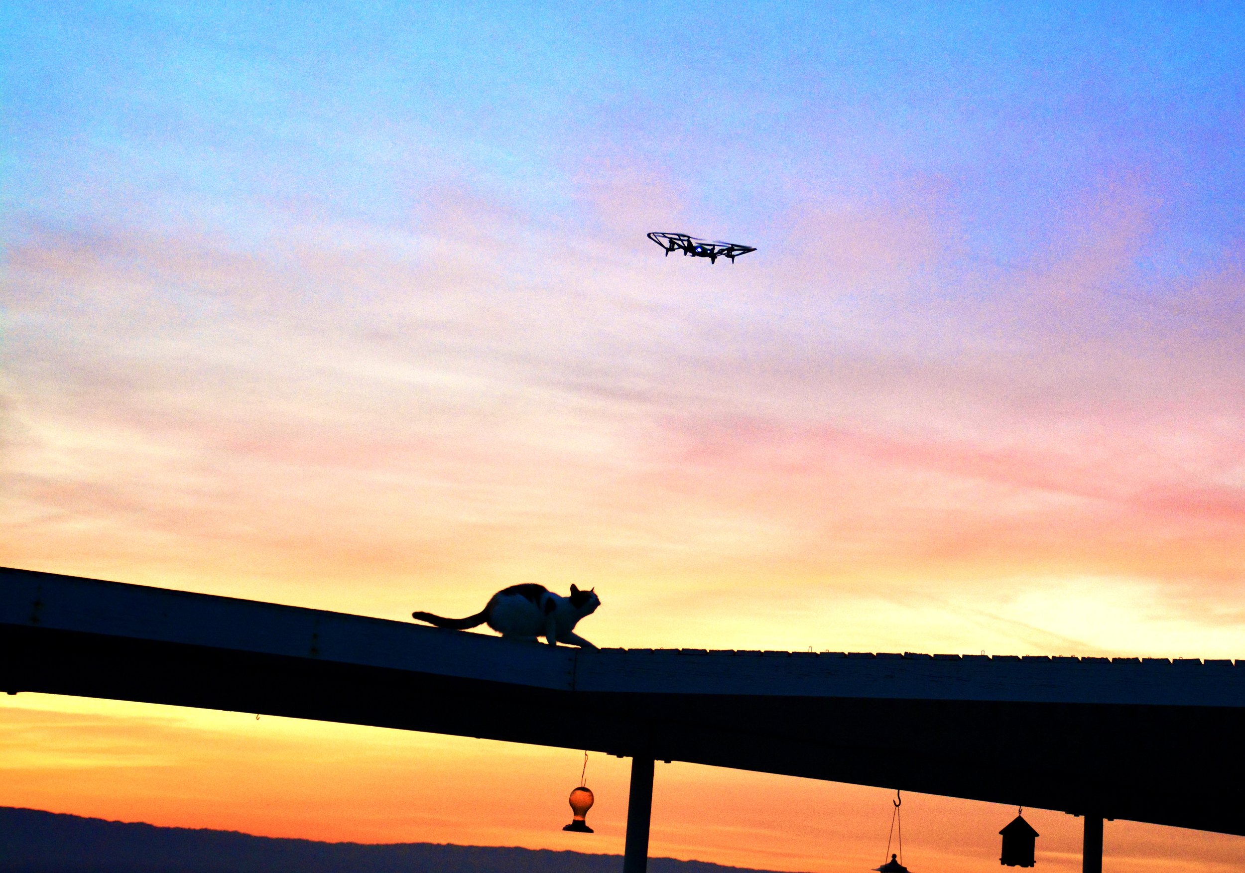 DSC_1031.jpeg