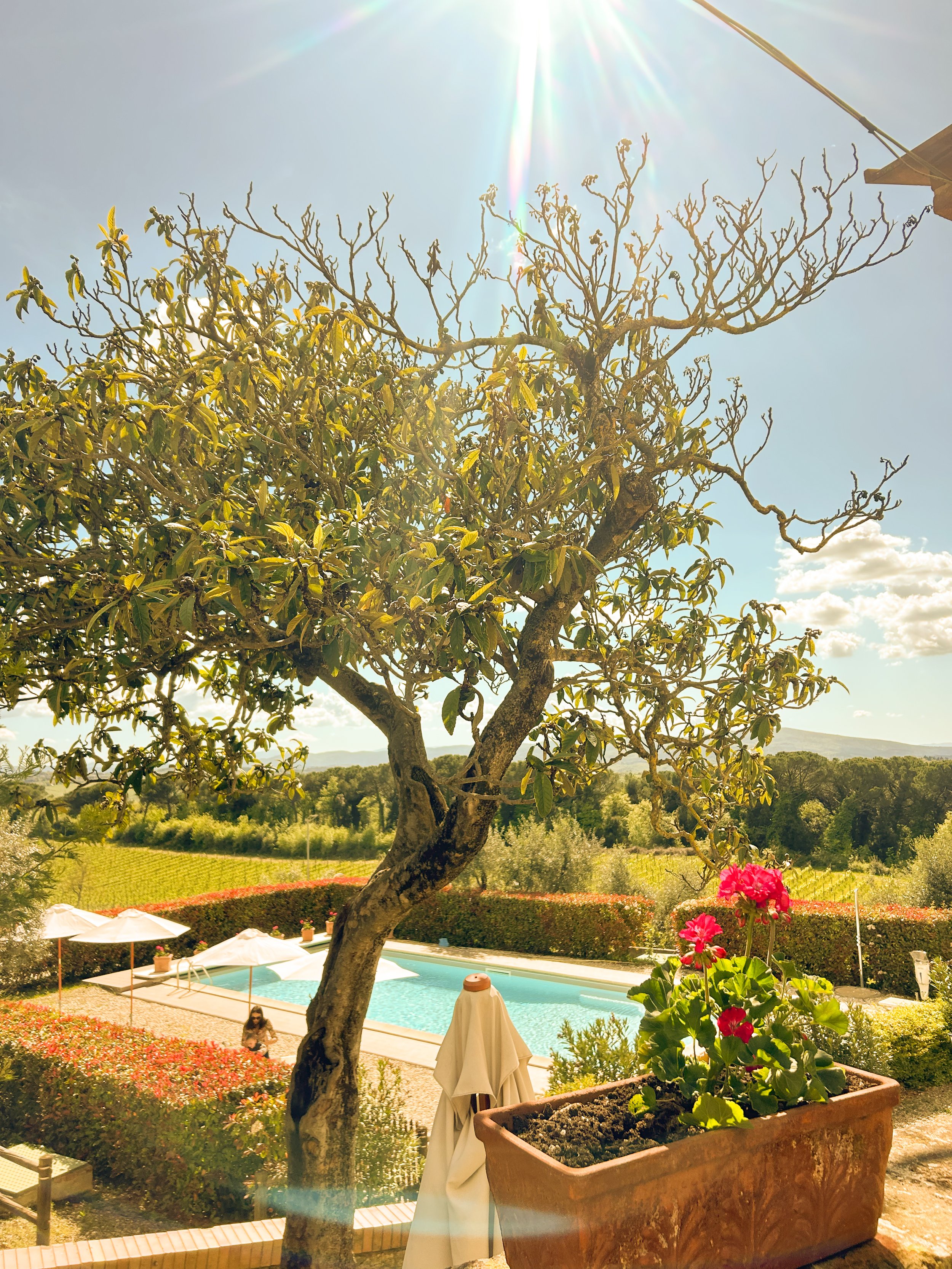 Tuscan Heartbeats