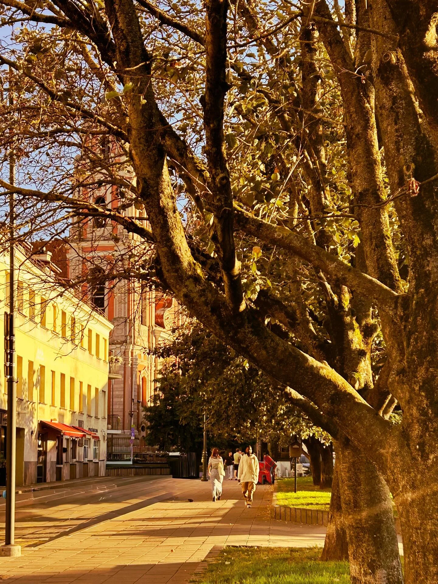Blog 28 is live - Traveling in Vilnius Time Tapped Me on the Shoulder

When we move with intent we stop viewing time + travel as merely an equation to balance between minutes lost and gained. 

Instead we can come to recognize it as a series of subli