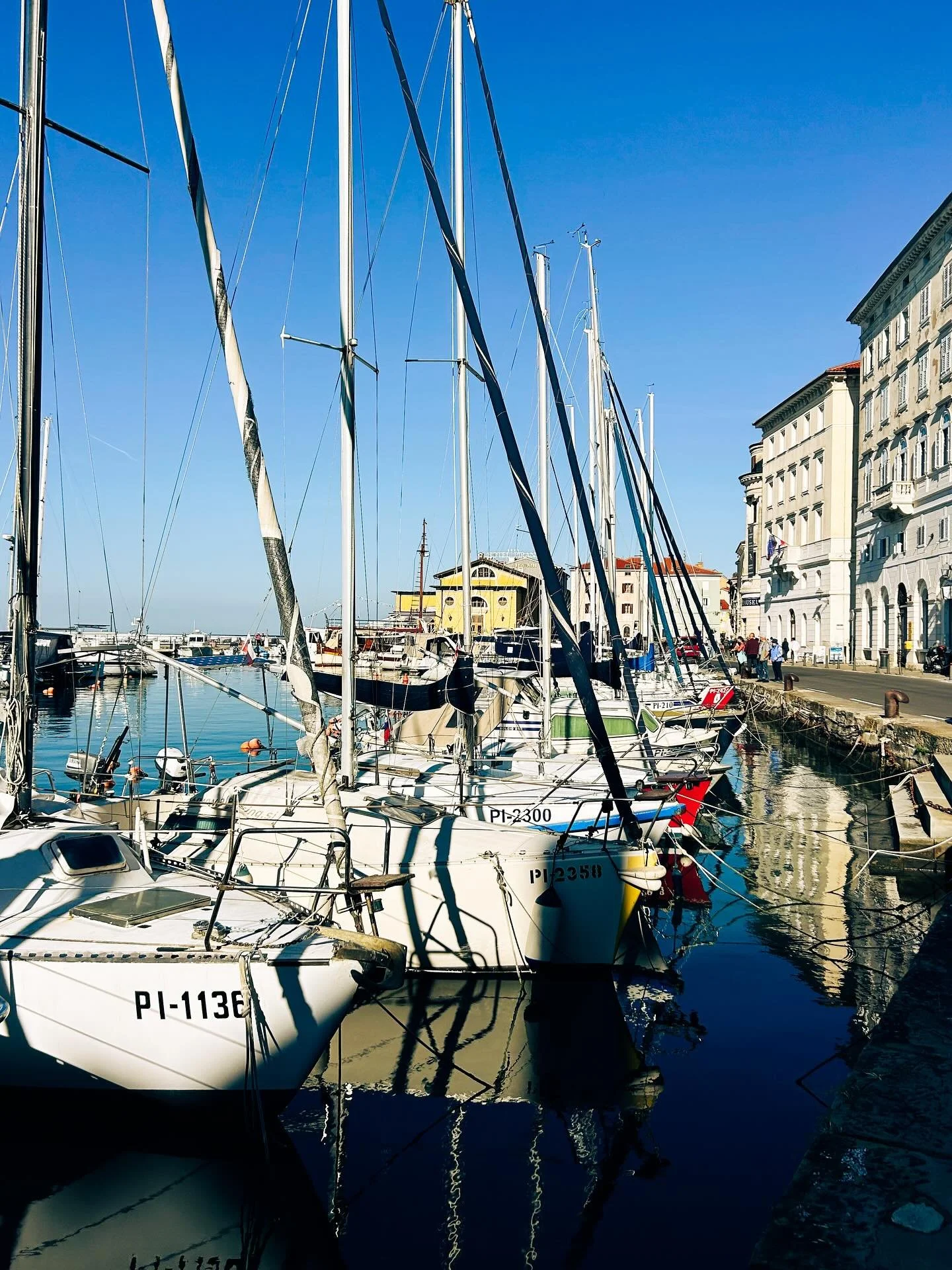 Everywhere I seemed to go in Slovenia this past week - the Piran seaside, a handmade ceramic shop, a vineyard in Vipava Valley - something just clicked. 

It felt like every encounter was proof that purpose doesn&rsquo;t need chasing, only noticing.
