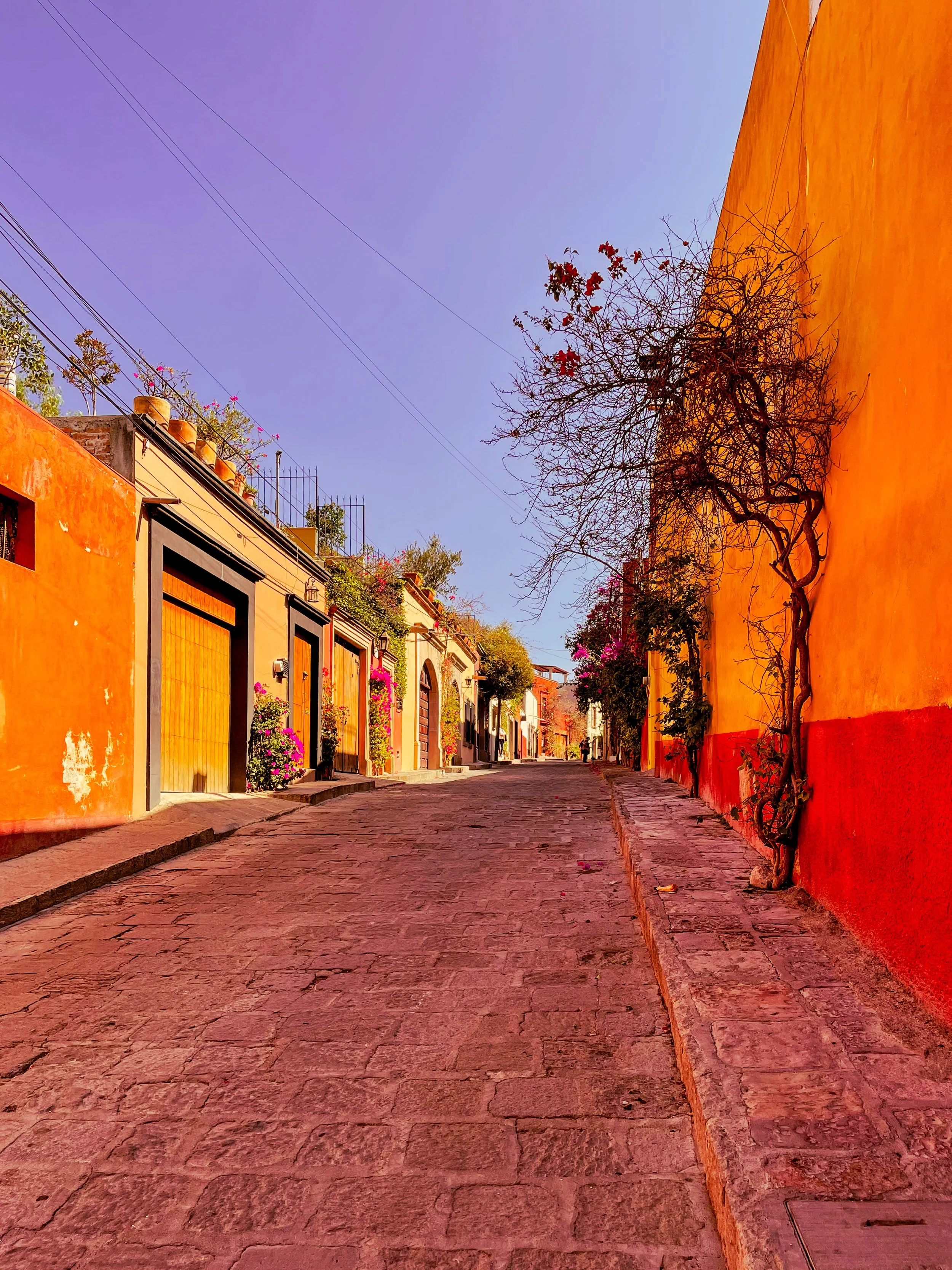 colorful buildings line a cobblestone street in San Miguel de Allende, Mexico