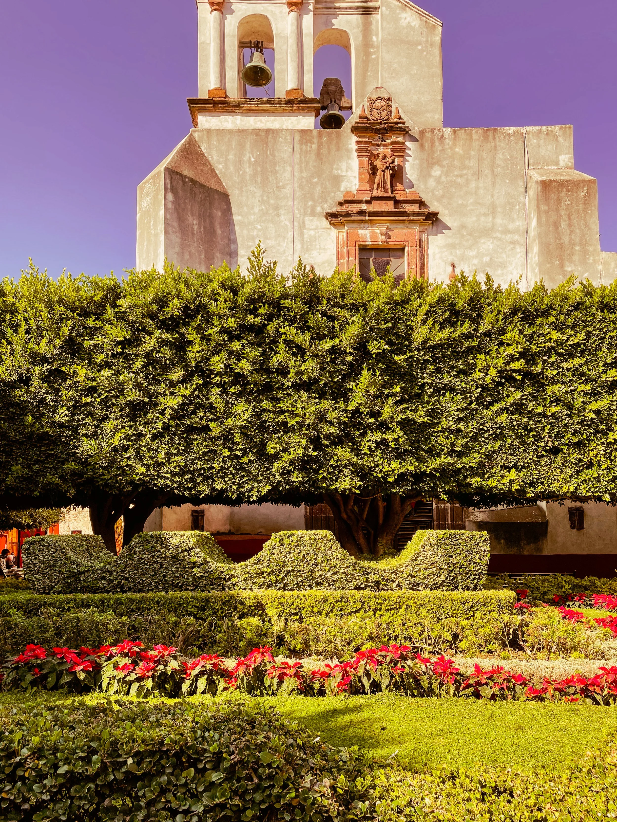 Garden scene from San Miguel de Allende