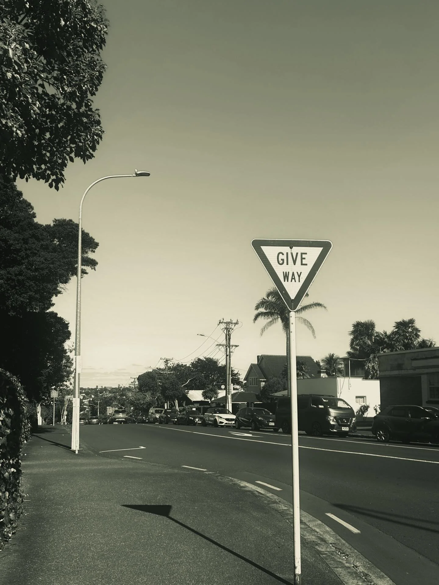 Some journeys wait.

I thought the trip to New Zealand was simply mistimed. A small oversight. A rookie mistake.

But the unraveling started long before the visa.

I had been moving fast. Pushing. Building. Telling myself I&rsquo;d shape the trip onc