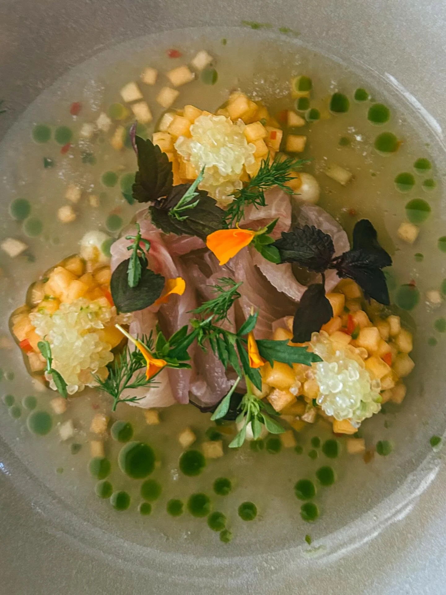 Taste, Up Close

It&rsquo;s not always the dish. It&rsquo;s the distance.

At chef&rsquo;s counters and cozy eateries across Wellington and Christchurch, I got close enough to feel it.

The craft. The clarity. The certainty.

I didn&rsquo;t ju