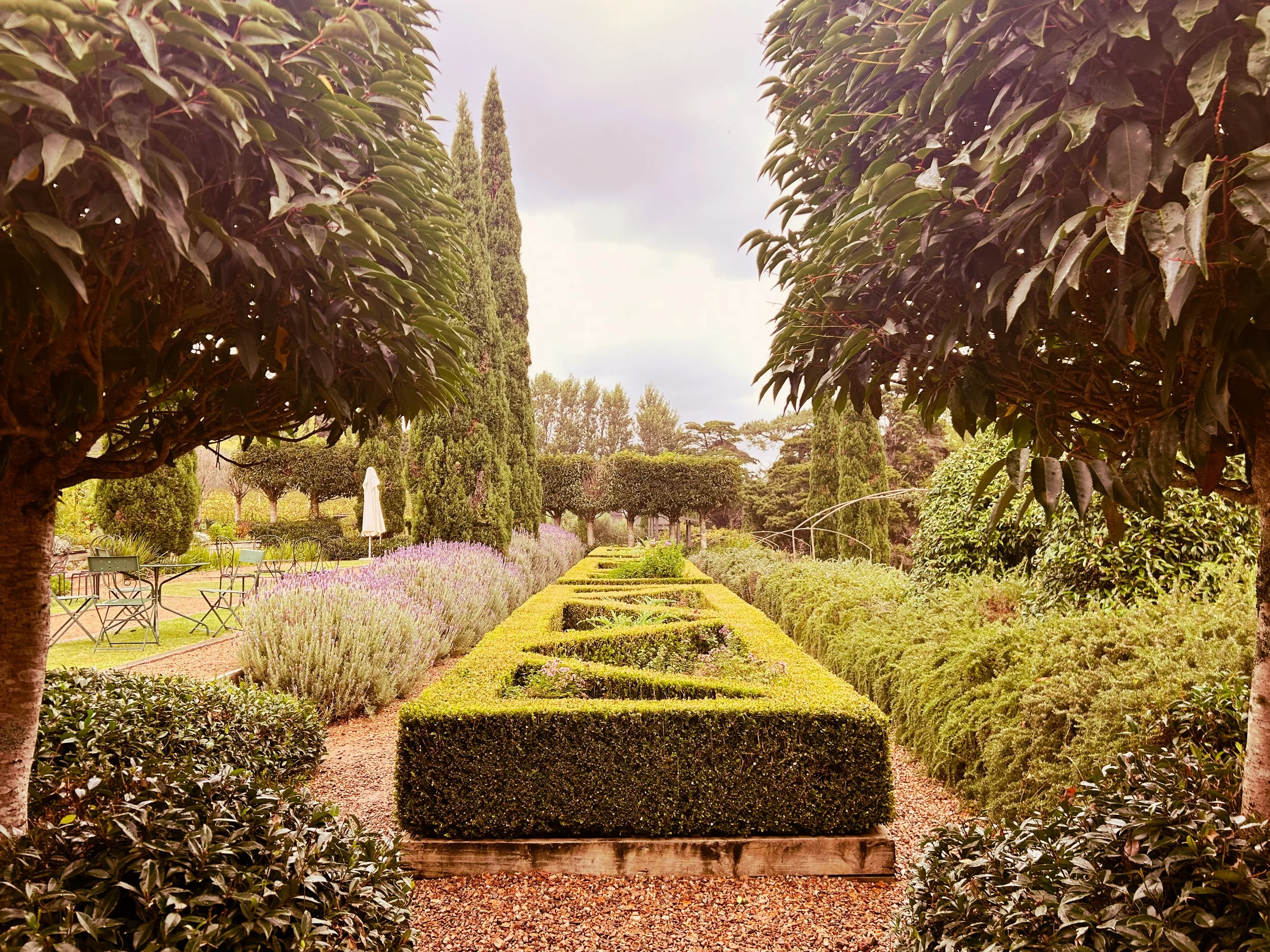 The gardens at Poderi Crisci on Waiheke Island